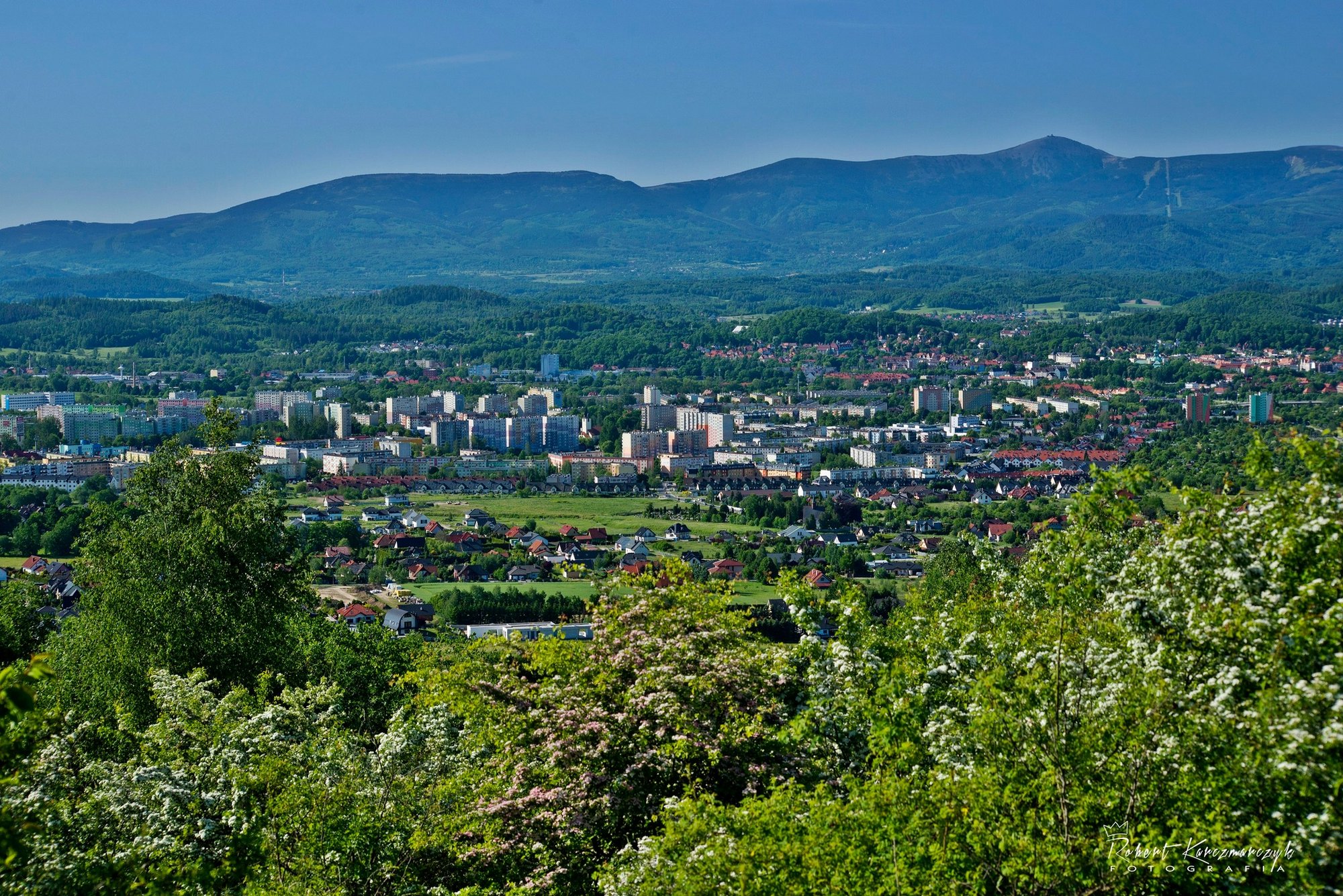 nagrody-za-promocje-118128