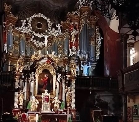 piraci-organowo-118185