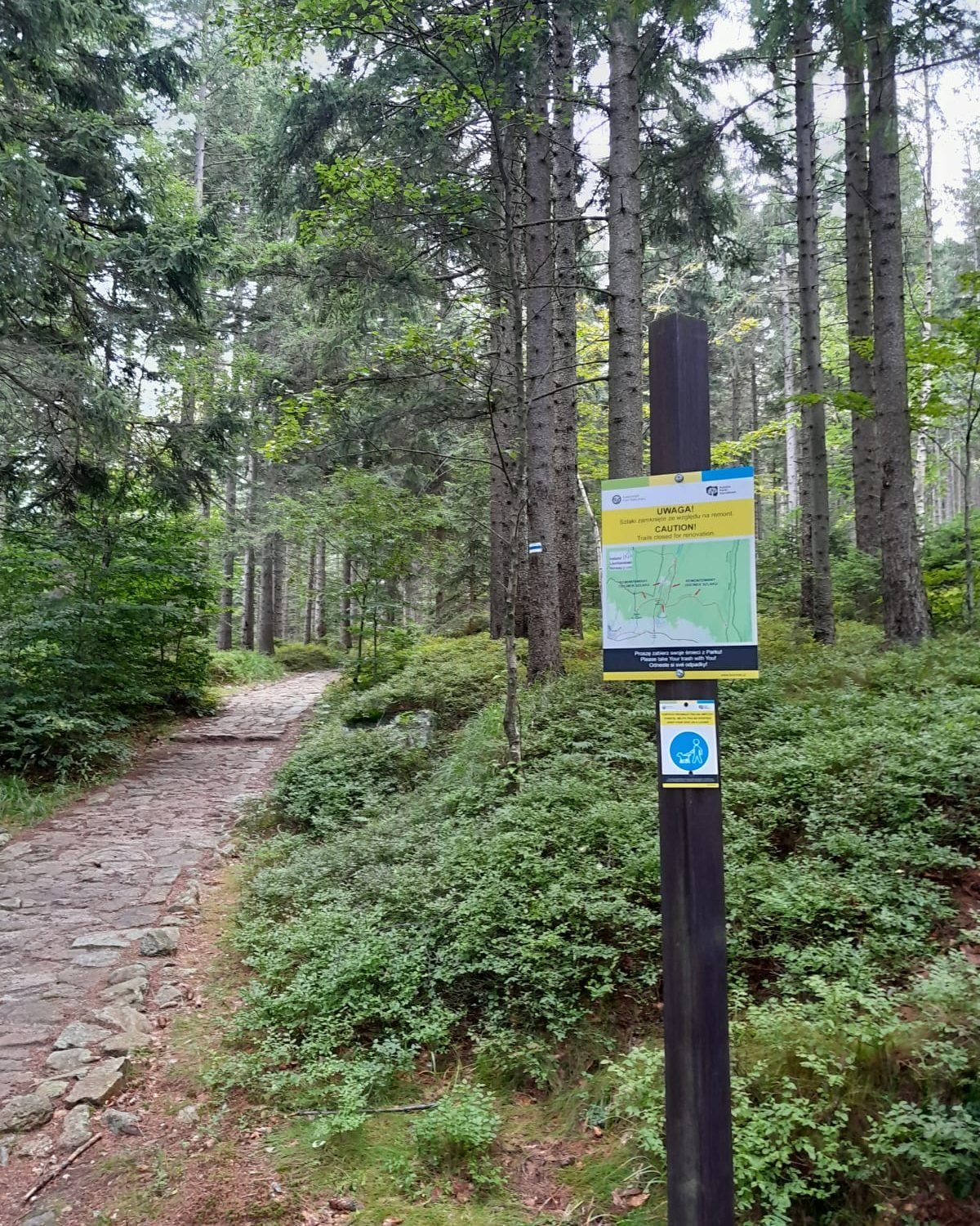 lataja-w-karkonoszach-118187