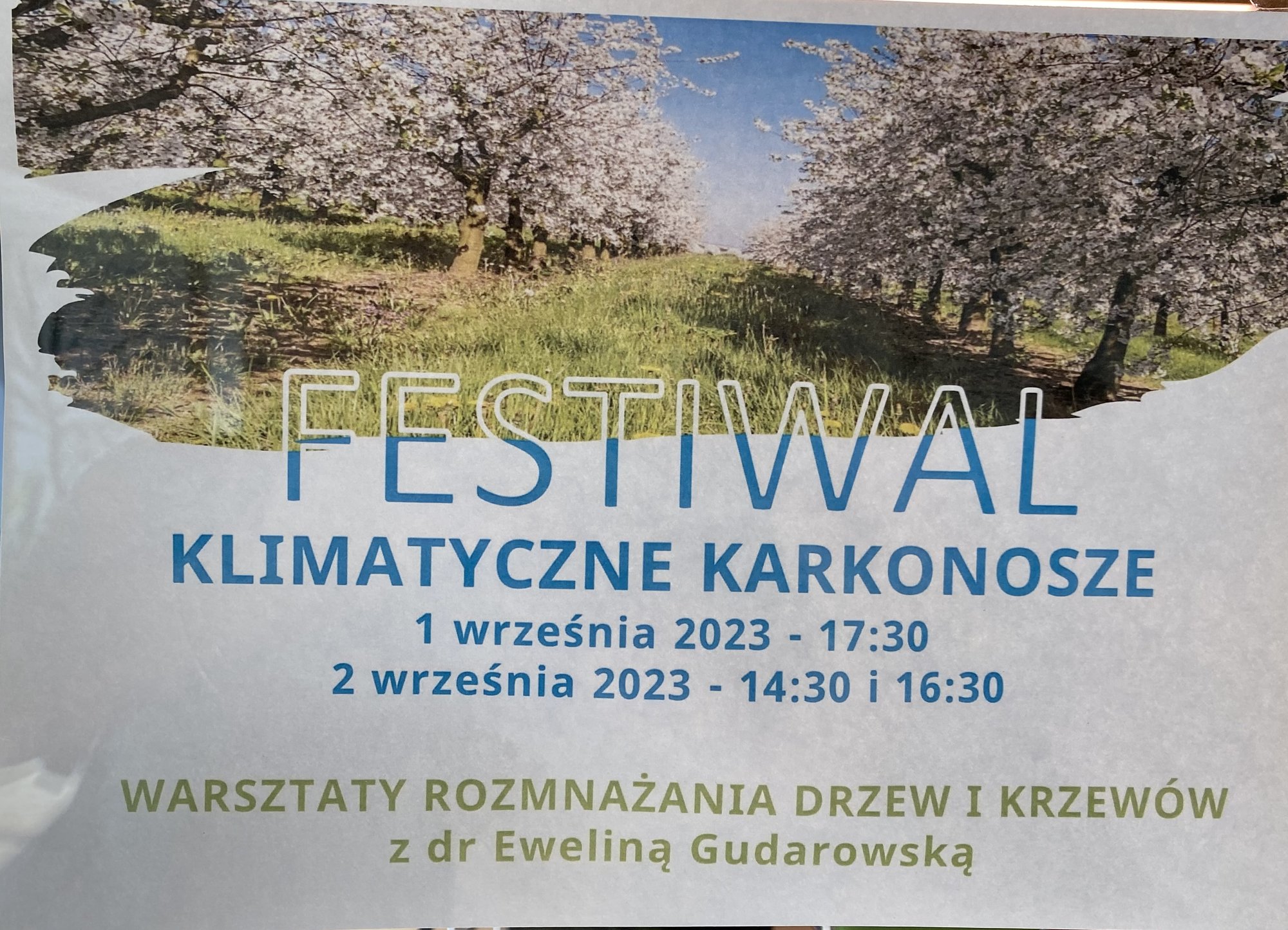 co-sadzic-gdzie-sadzic-i-jak-pielegnowac-118199