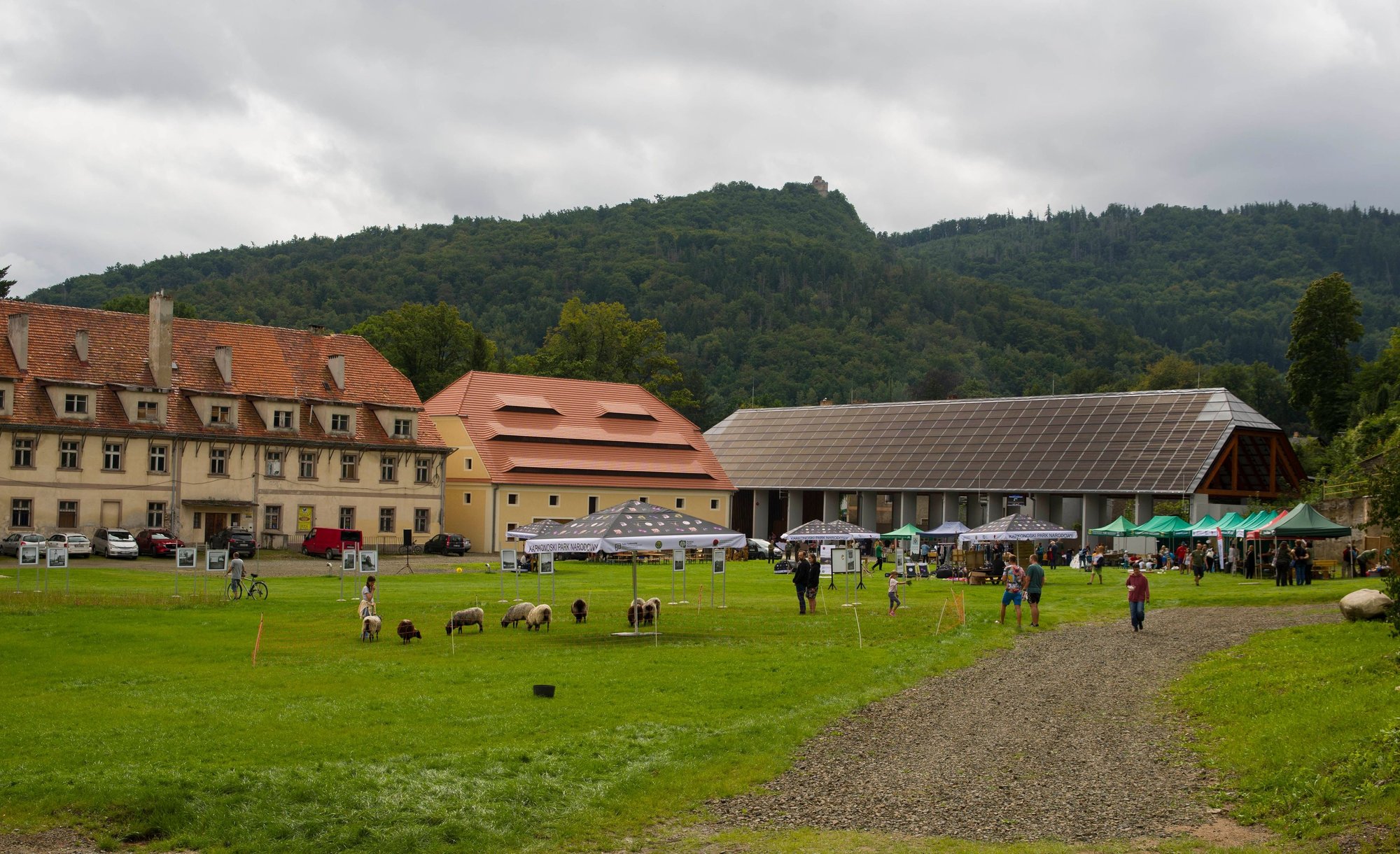 piknik-w-sobieszowie-fotoreportaz-118211