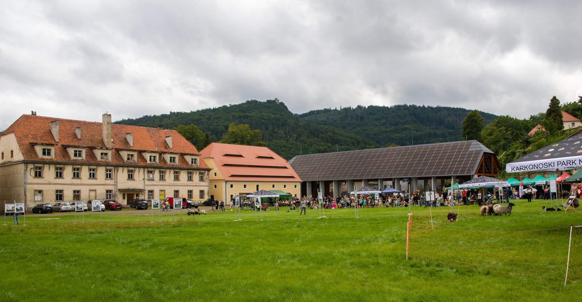 piknik-w-sobieszowie-fotoreportaz-118211