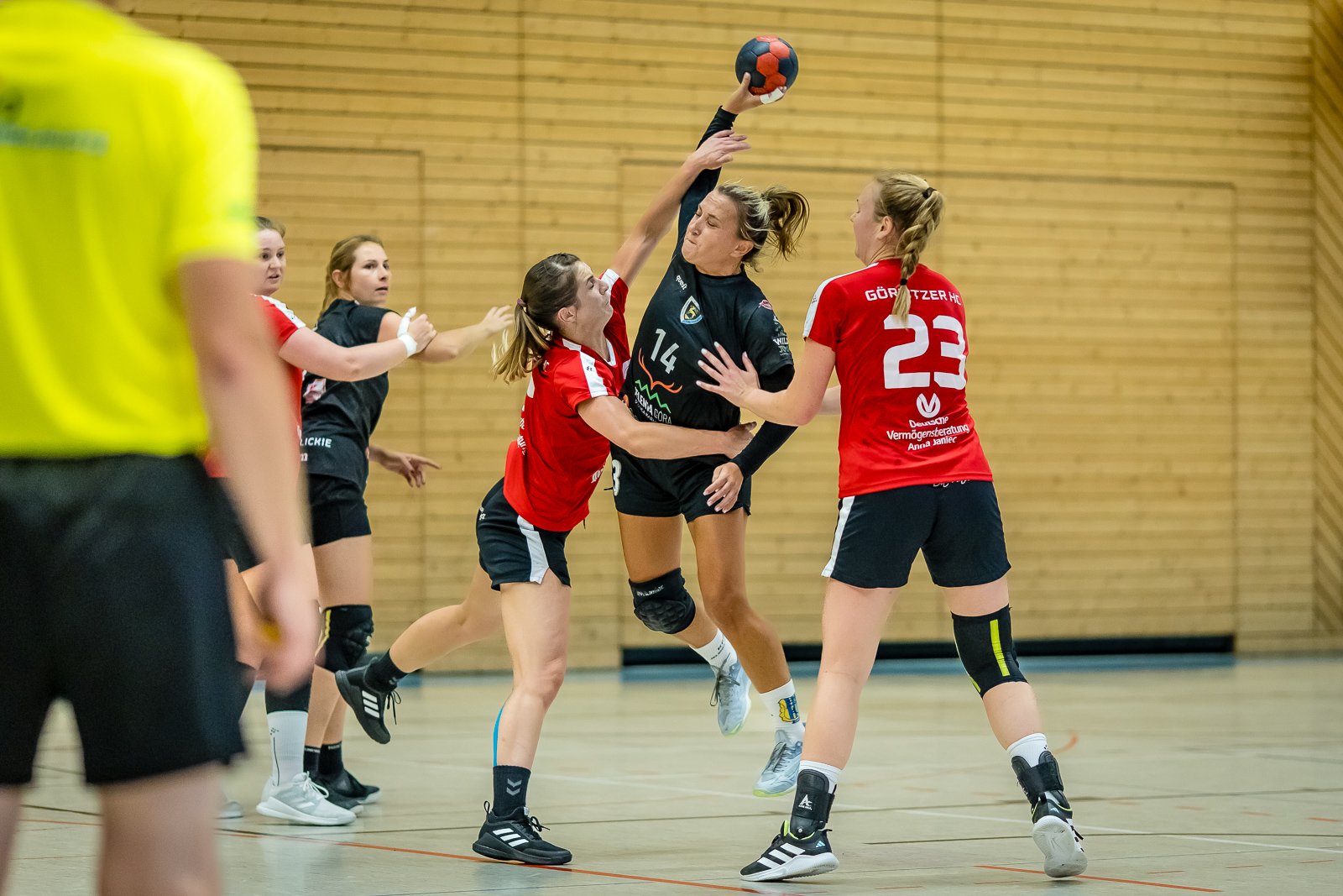 sparingowo-w-goerlitz-118217