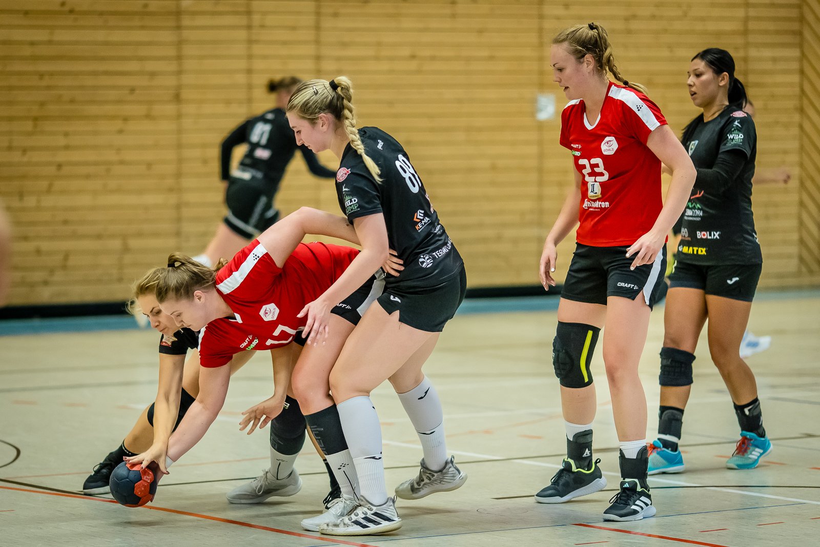 sparingowo-w-goerlitz-118217