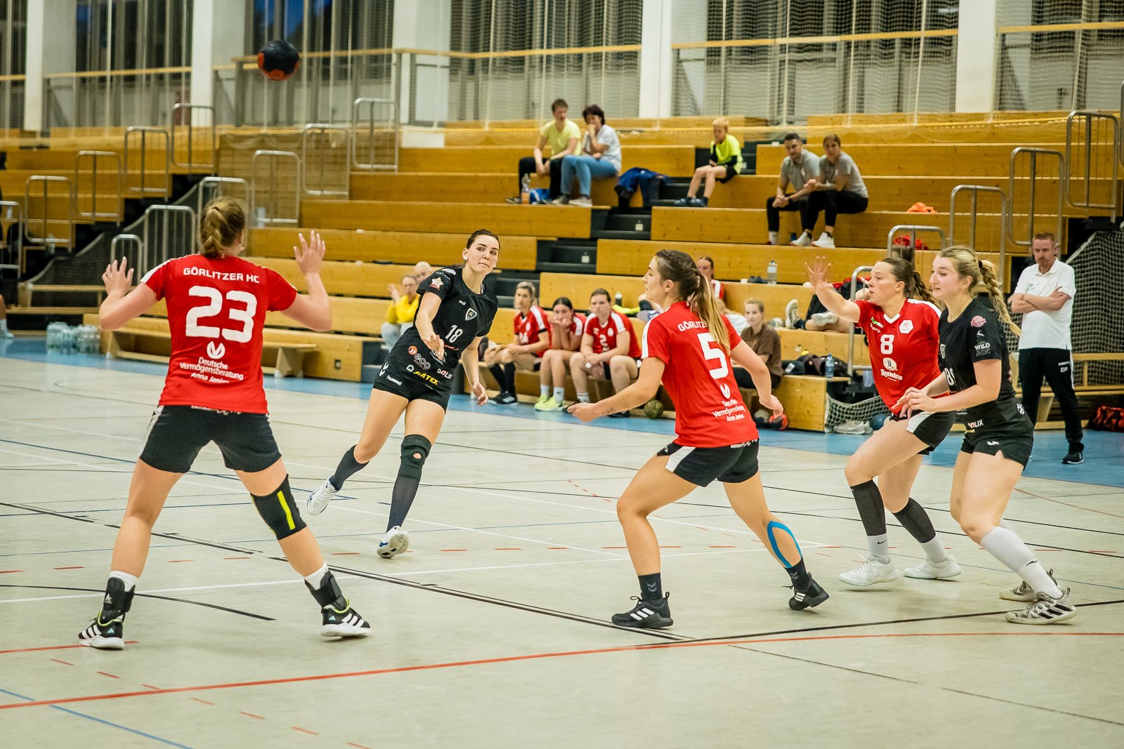 sparingowo-w-goerlitz-118217