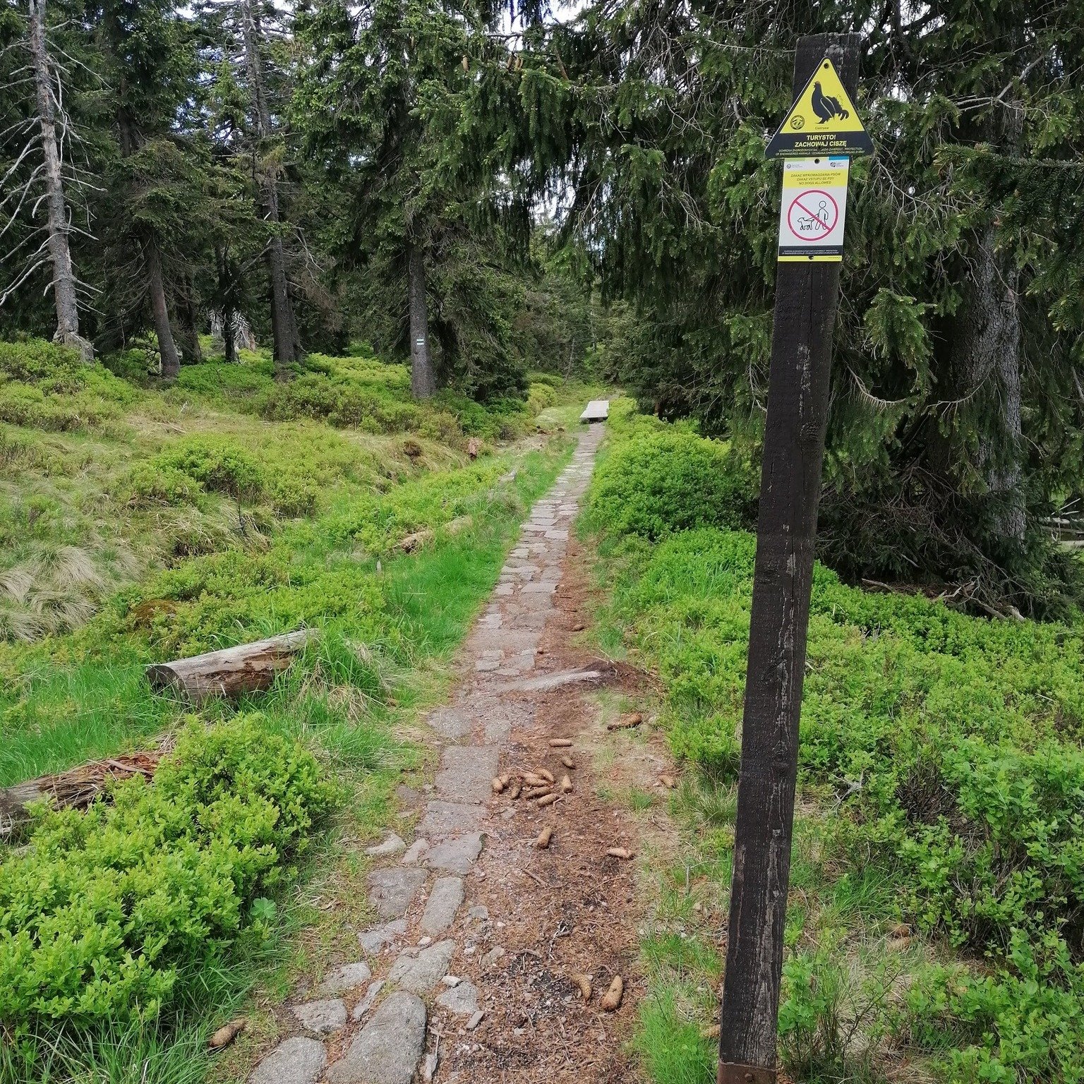 remont-na-szlaku-118281