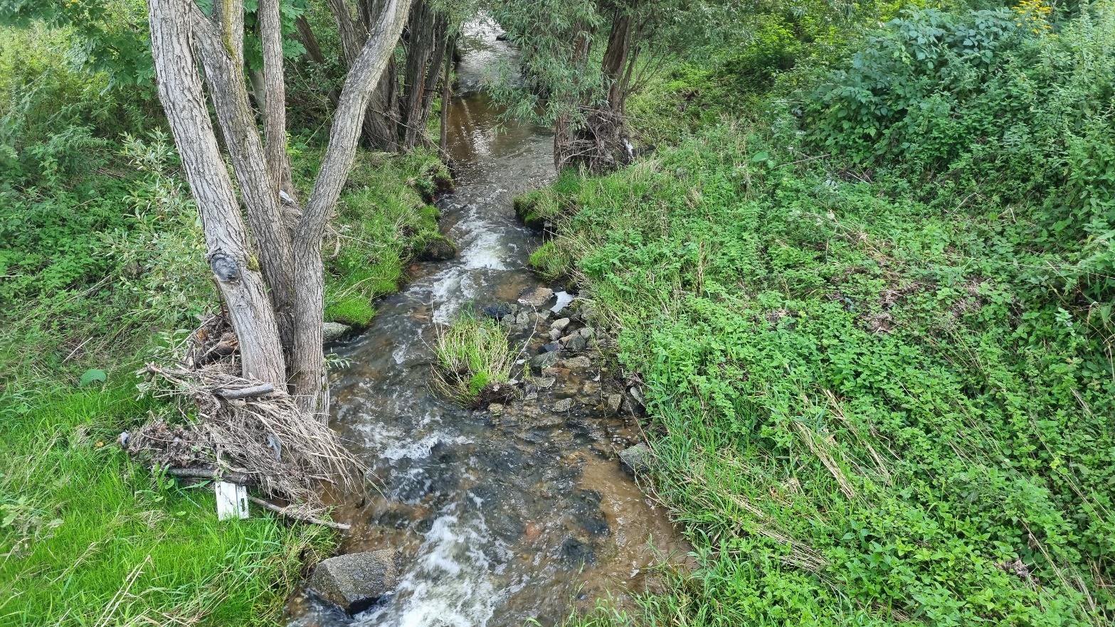radomierka-nadal-grozna-118423