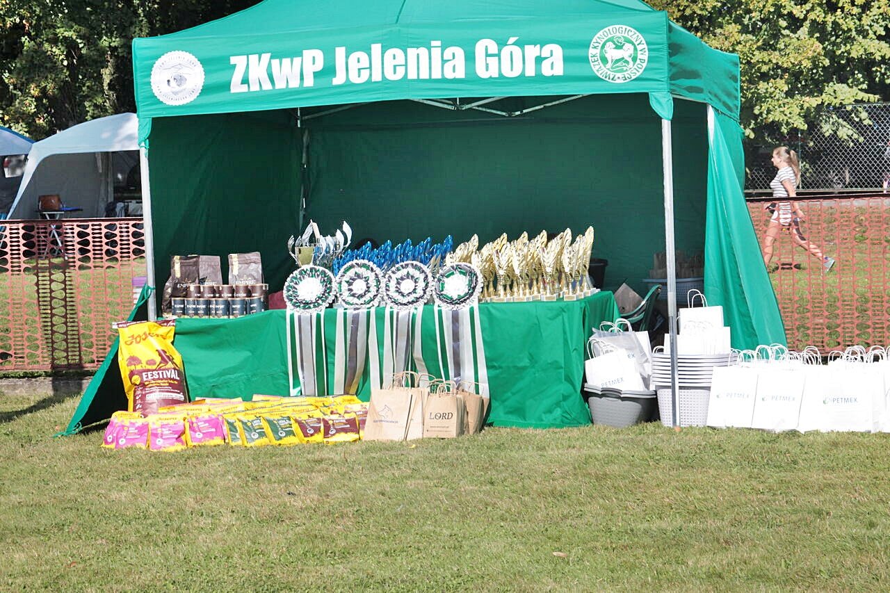 czworonogi-na-stadionie-118533