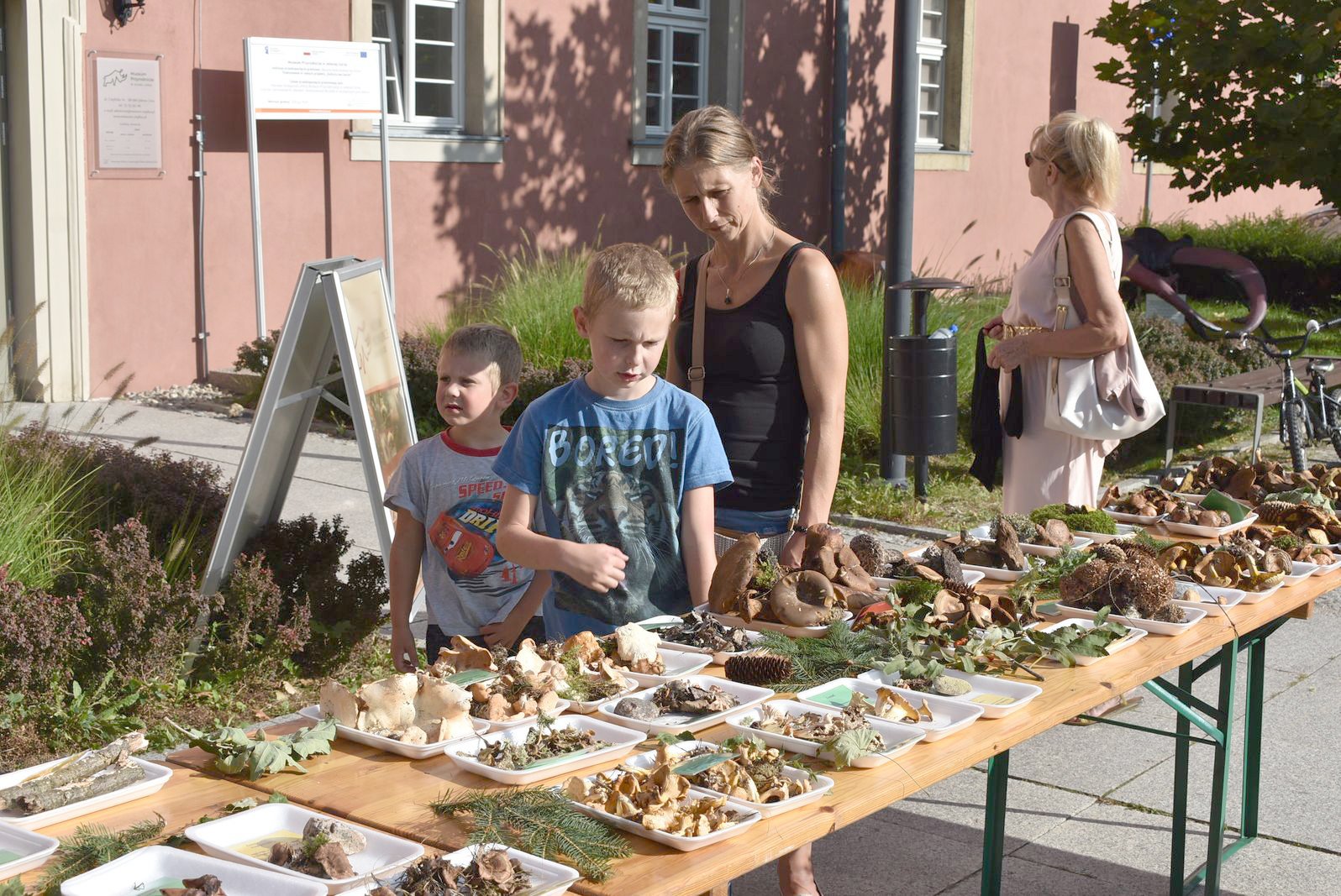 nie-tylko-dla-grzybiarzy-118601