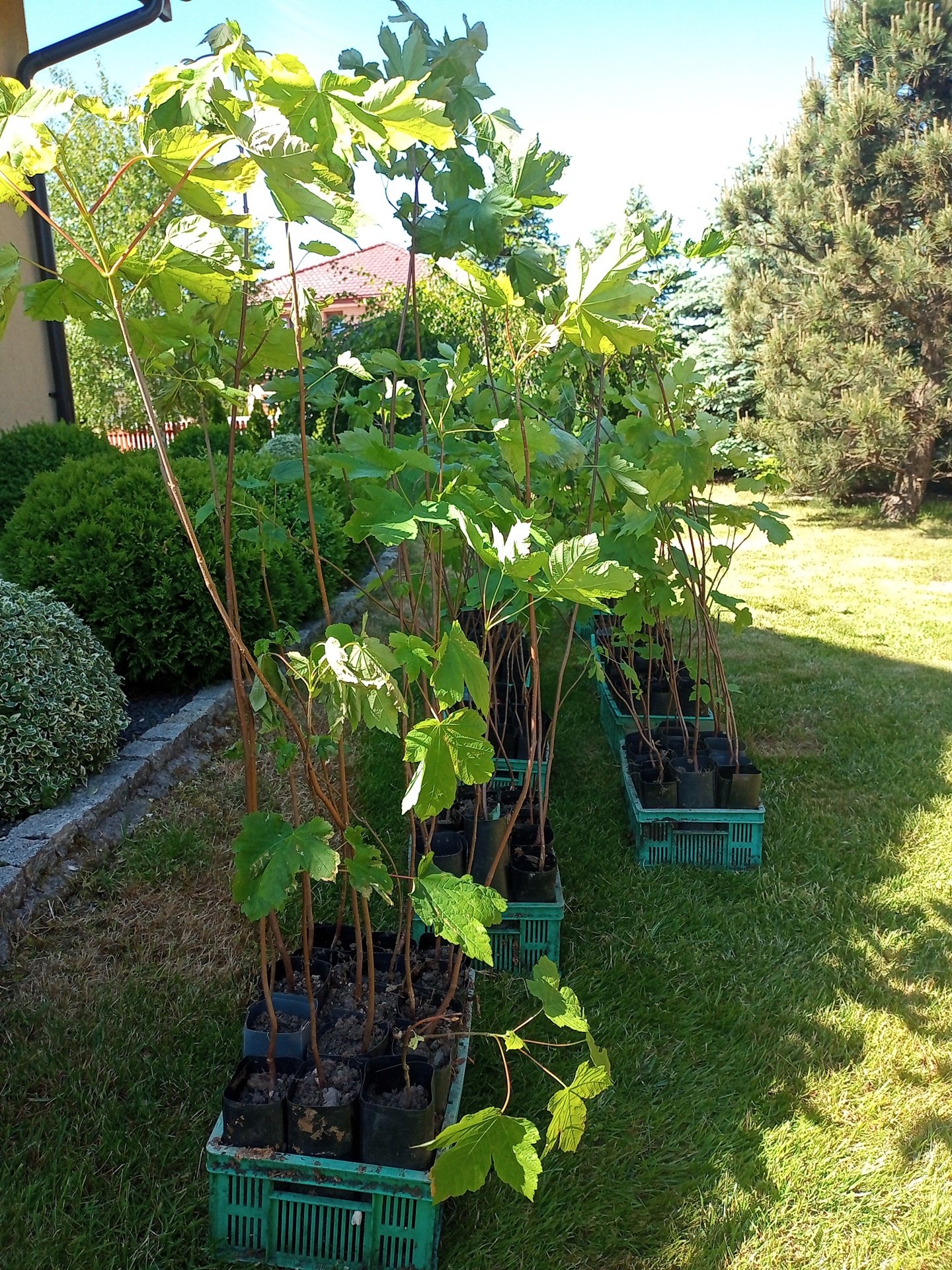 energia-z-muzyka-118668