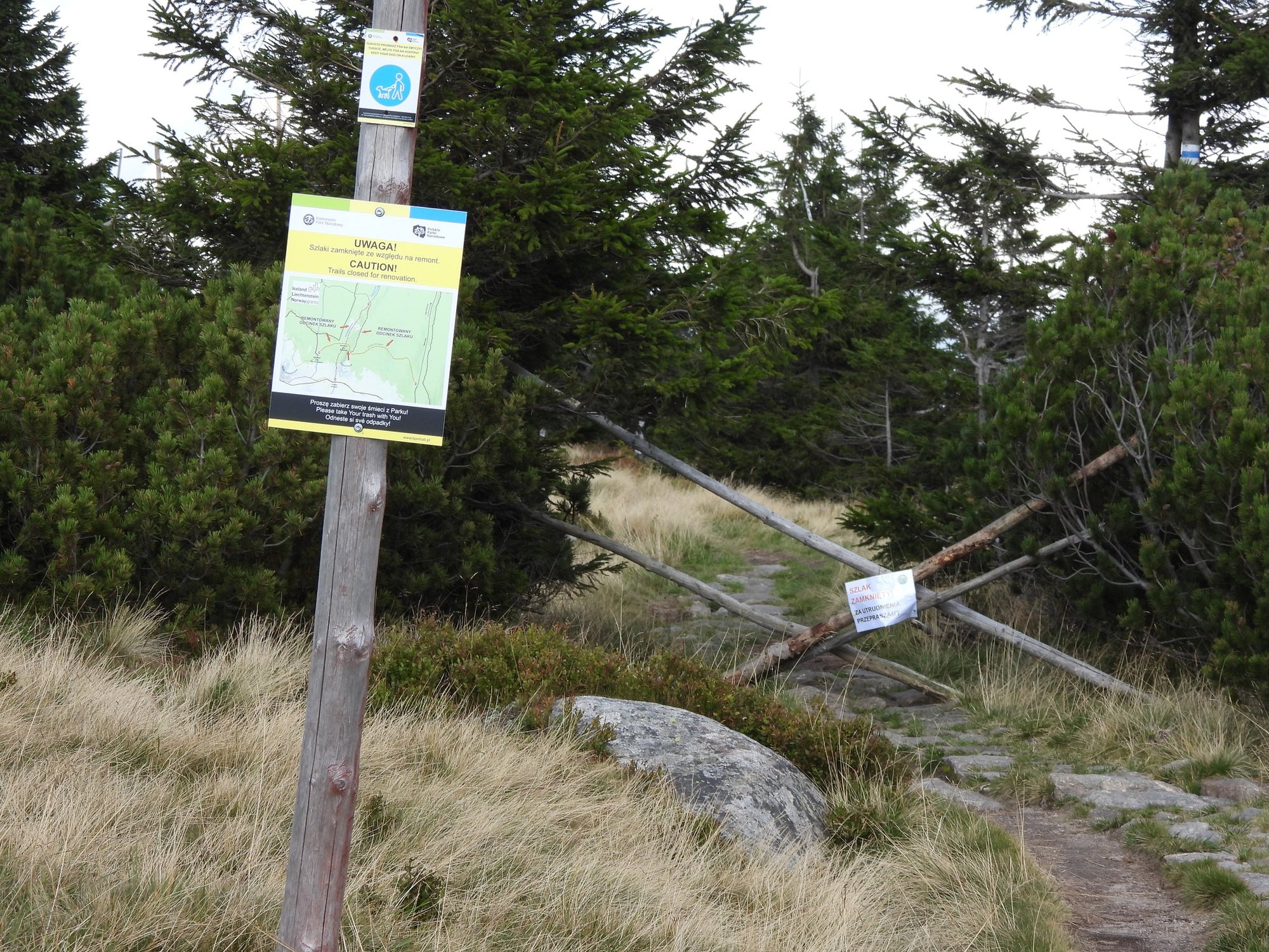 w-kpn-wymieniaja-kadki-118703