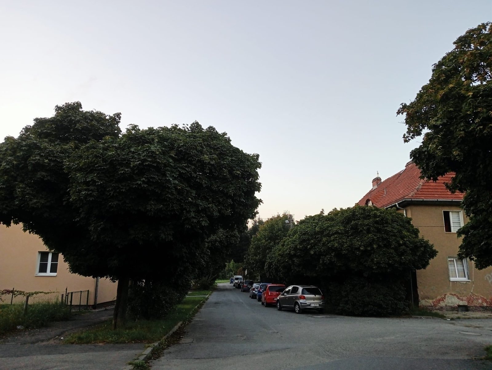 ciemno-wszedzie-gucho-wszedzie-118932