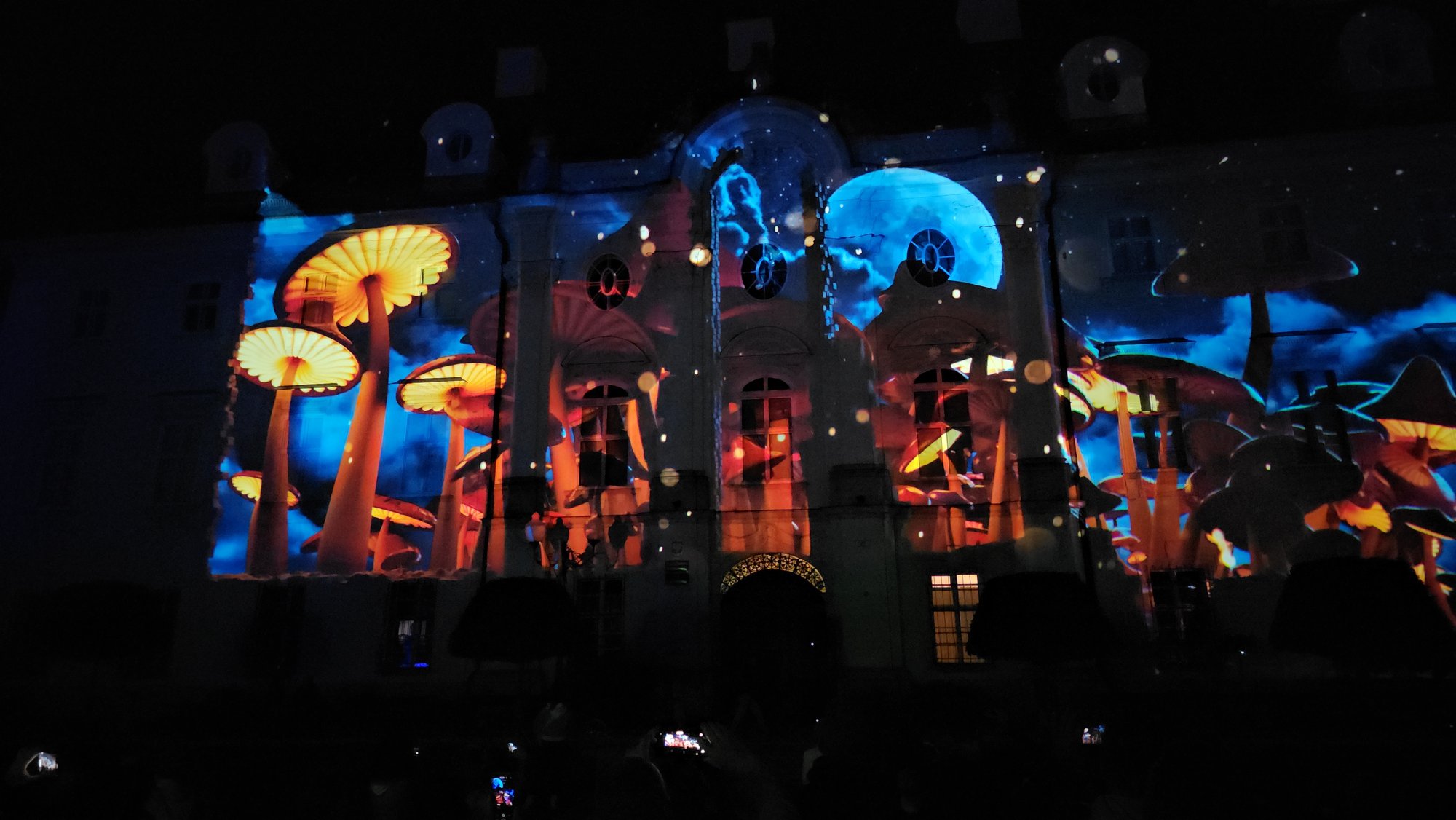 festiwal-w-cieplicach-mapping-na-paacu-119016