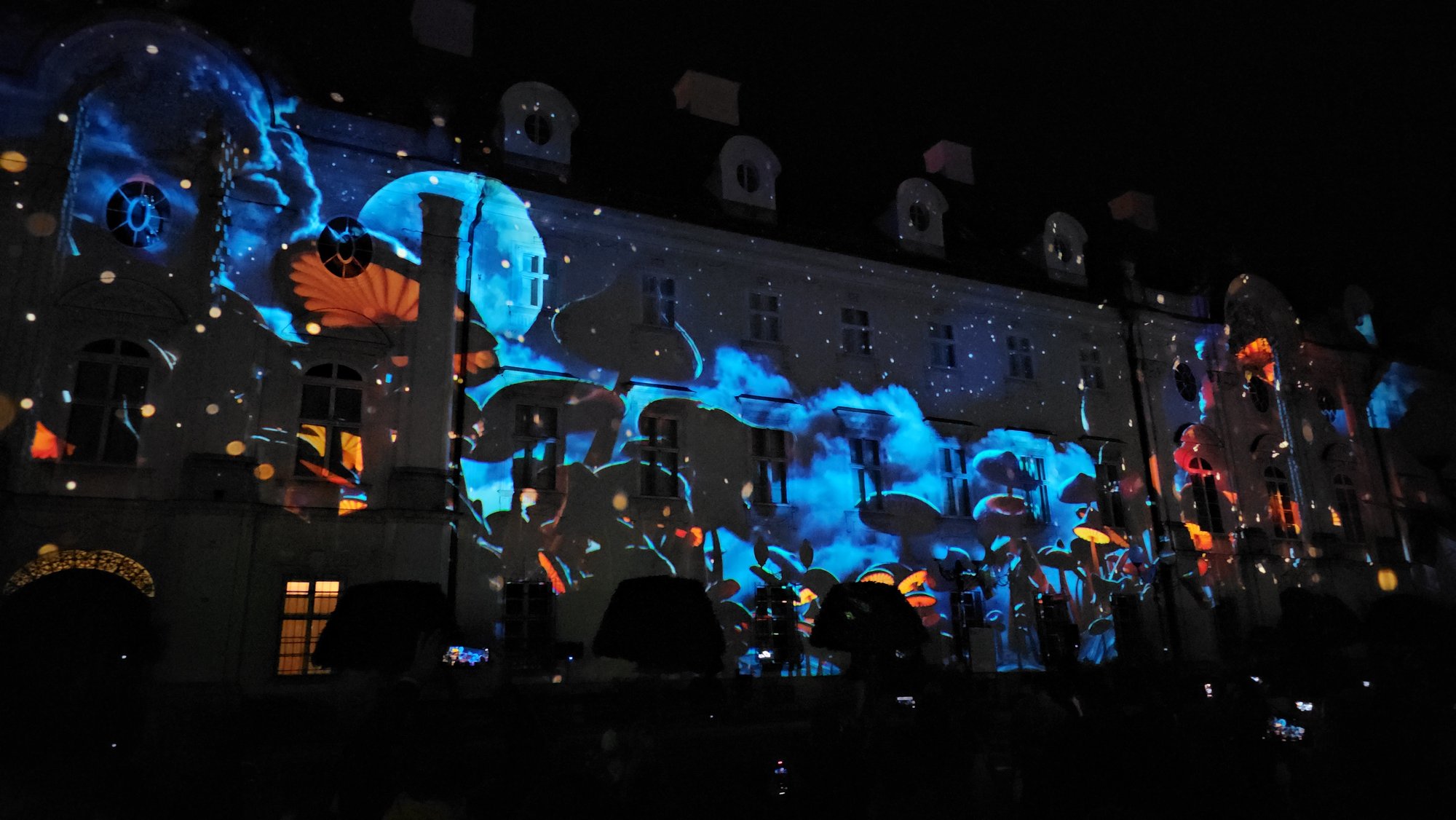 festiwal-w-cieplicach-mapping-na-paacu-119016