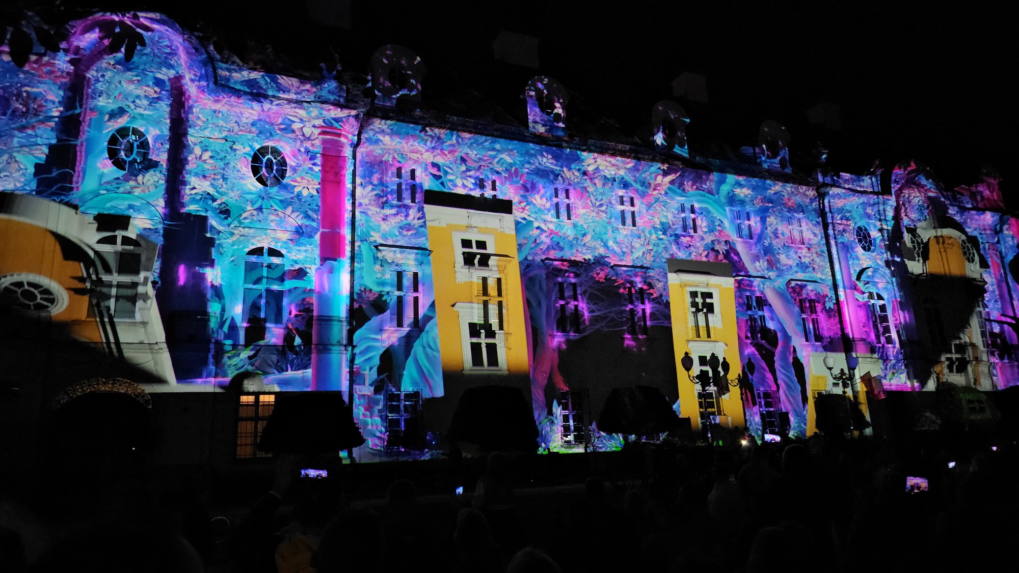 festiwal-w-cieplicach-mapping-na-paacu-119016