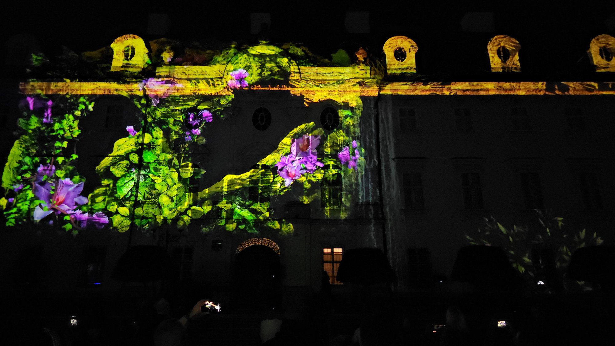 festiwal-w-cieplicach-mapping-na-paacu-119016