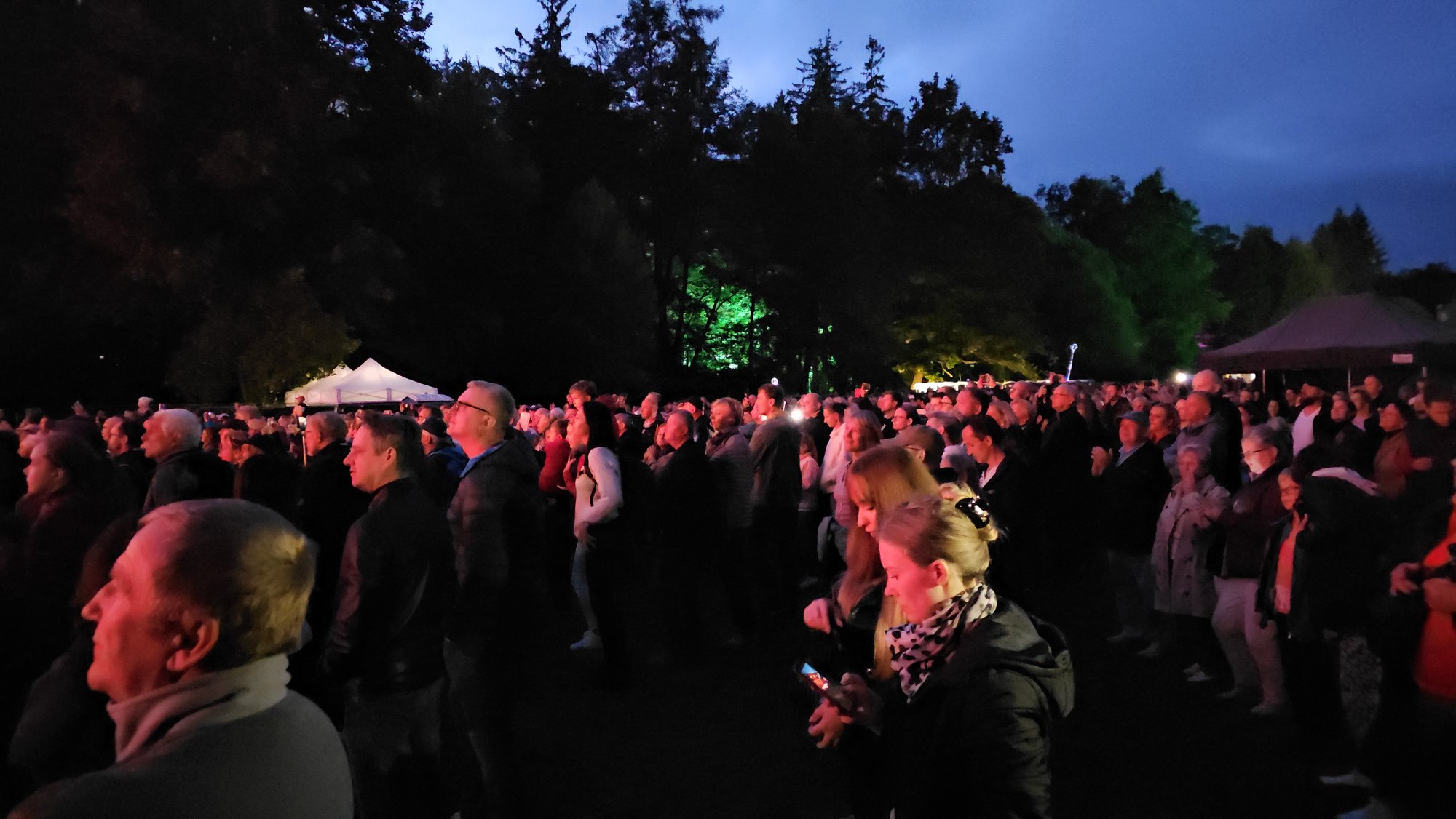 festiwal-w-cieplicach-koncert-dire-straits-119043