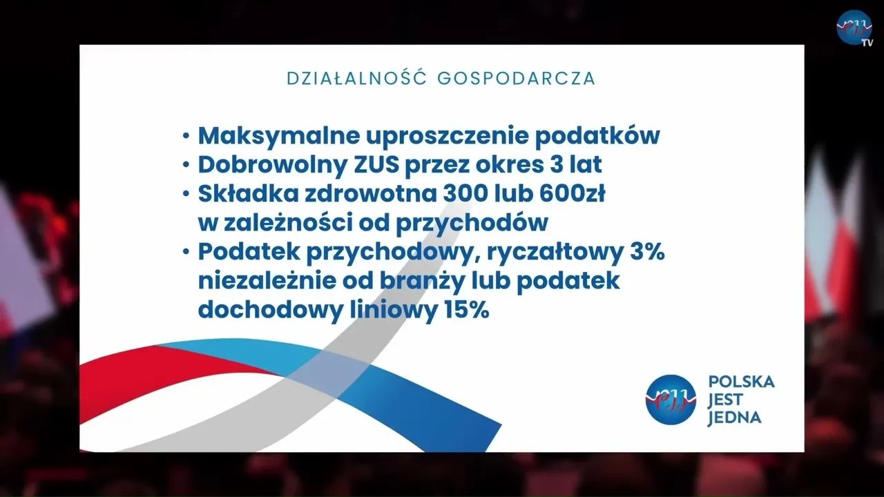 program-dla-dziaalnosci-gospodarczej-rafa-piech-polska-jest-jedna-119304