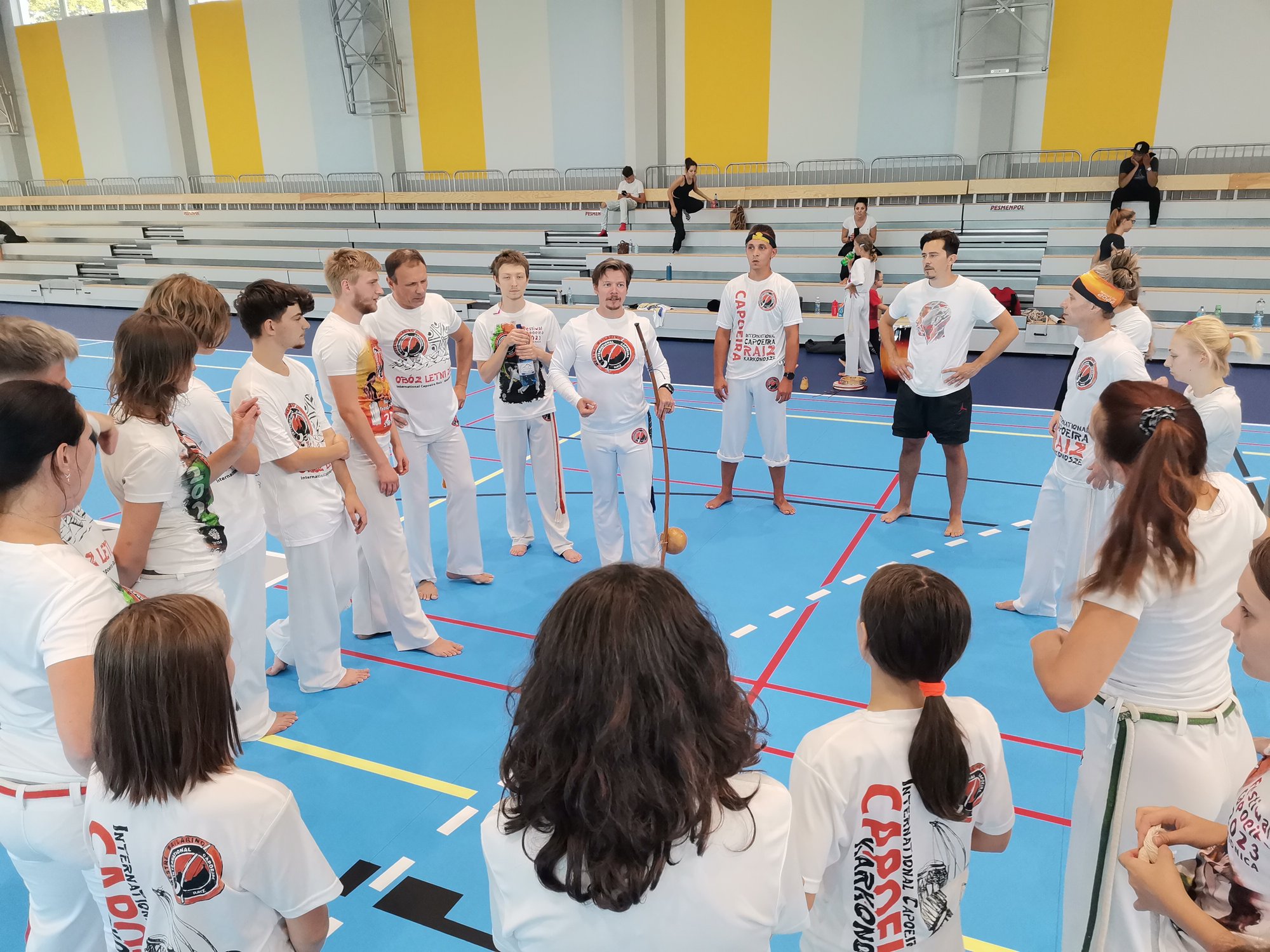 zachemie-capoeira-stoi-119543