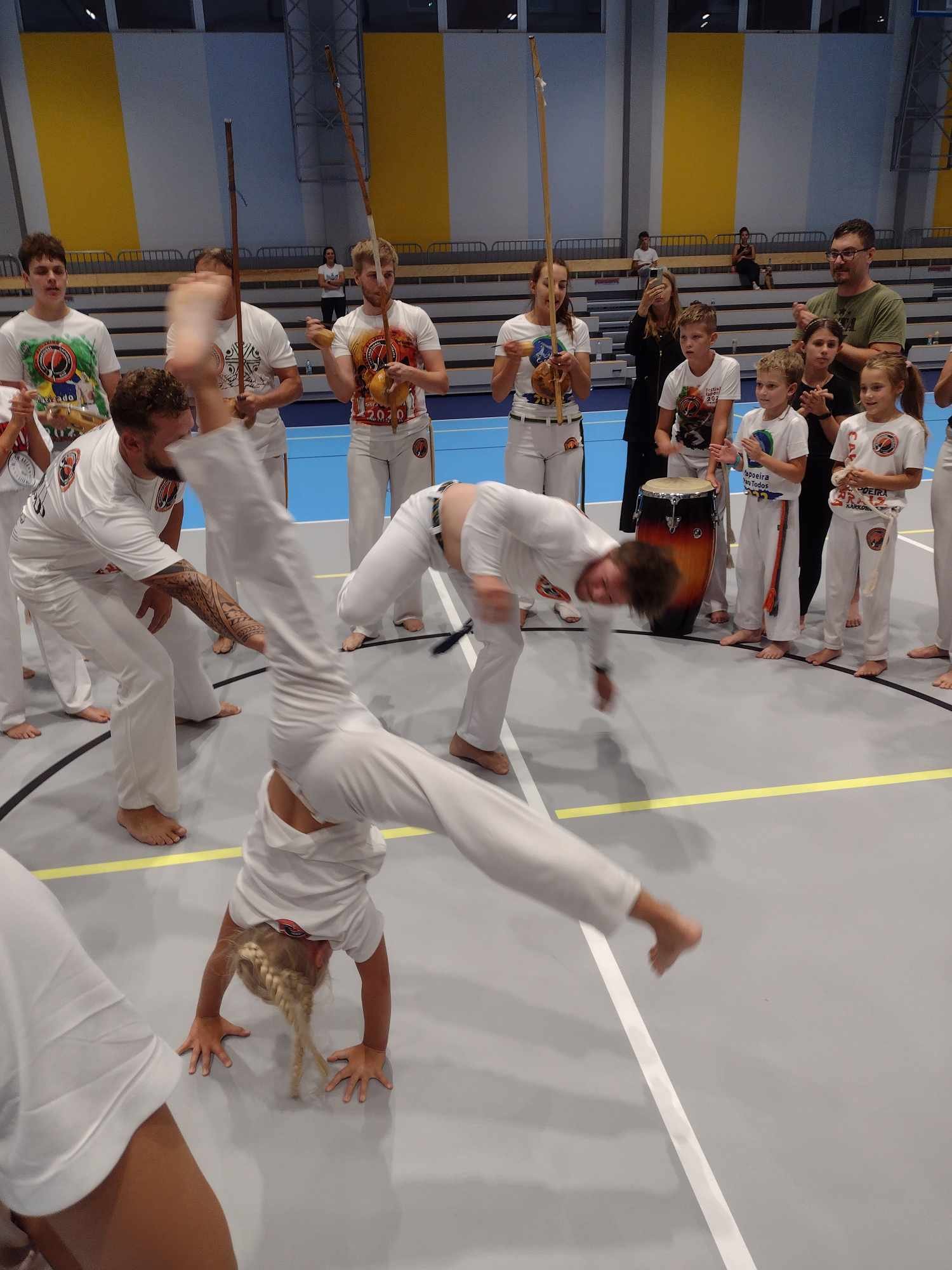 zachemie-capoeira-stoi-119543