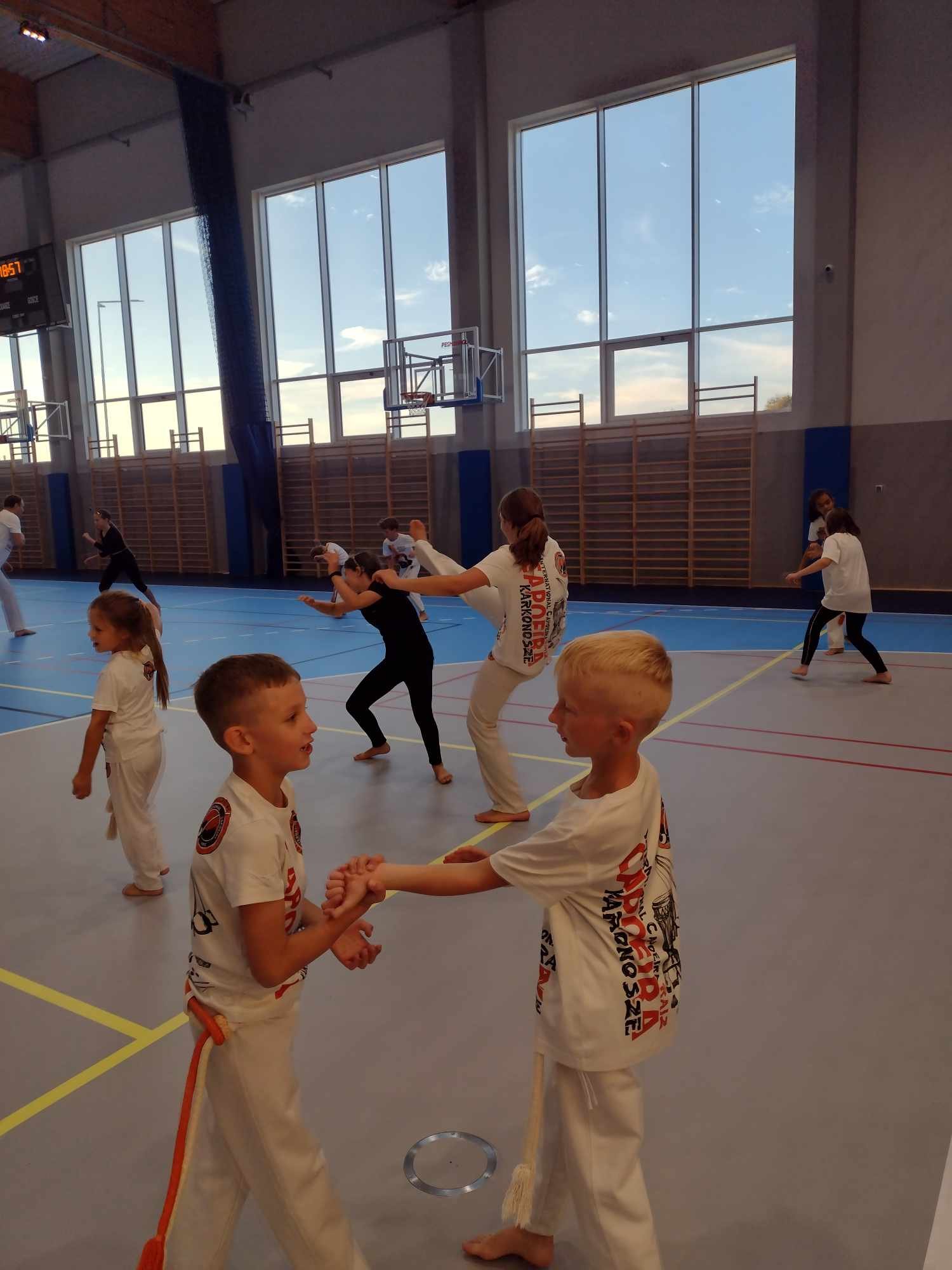 zachemie-capoeira-stoi-119543