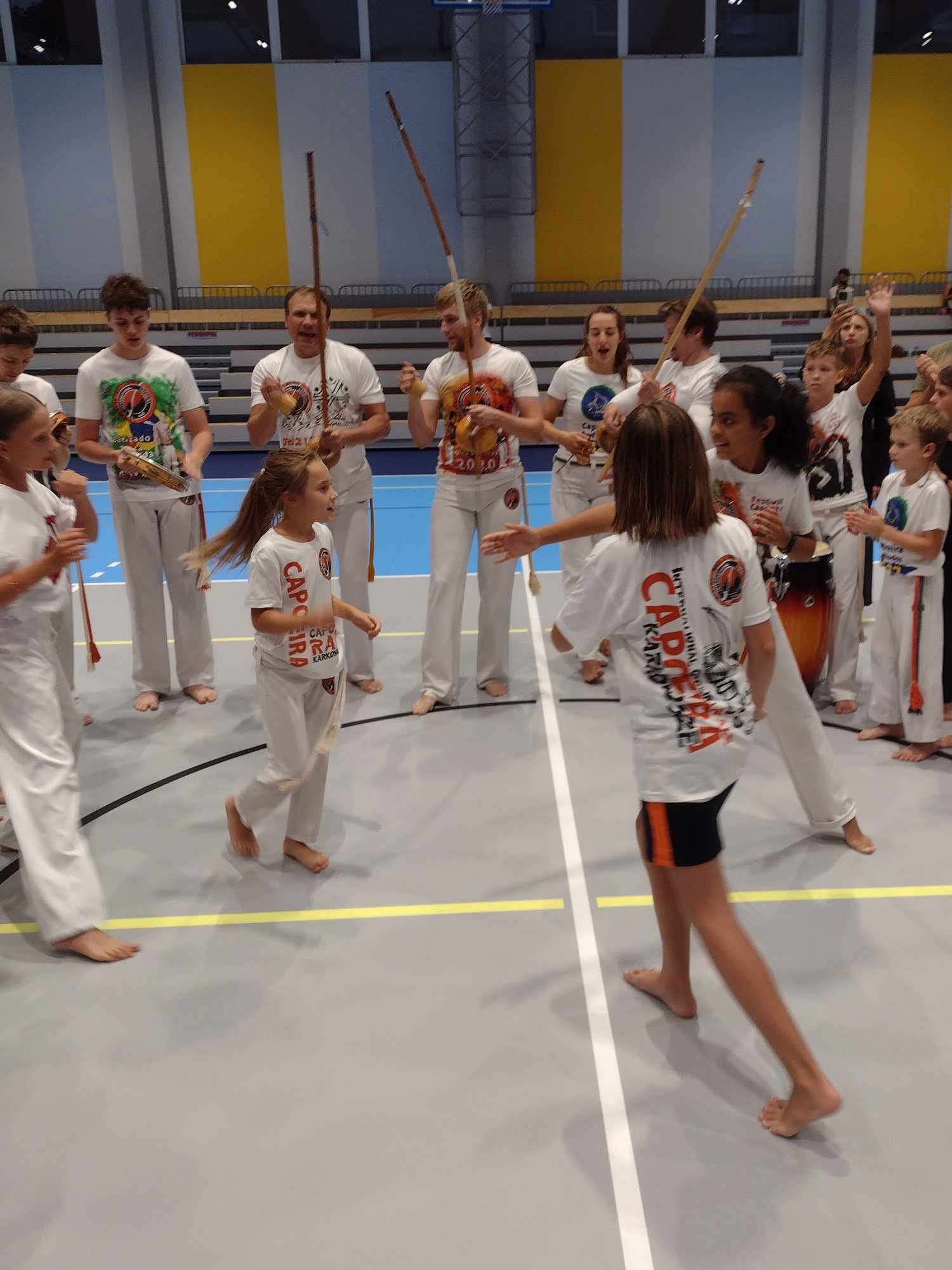 zachemie-capoeira-stoi-119543