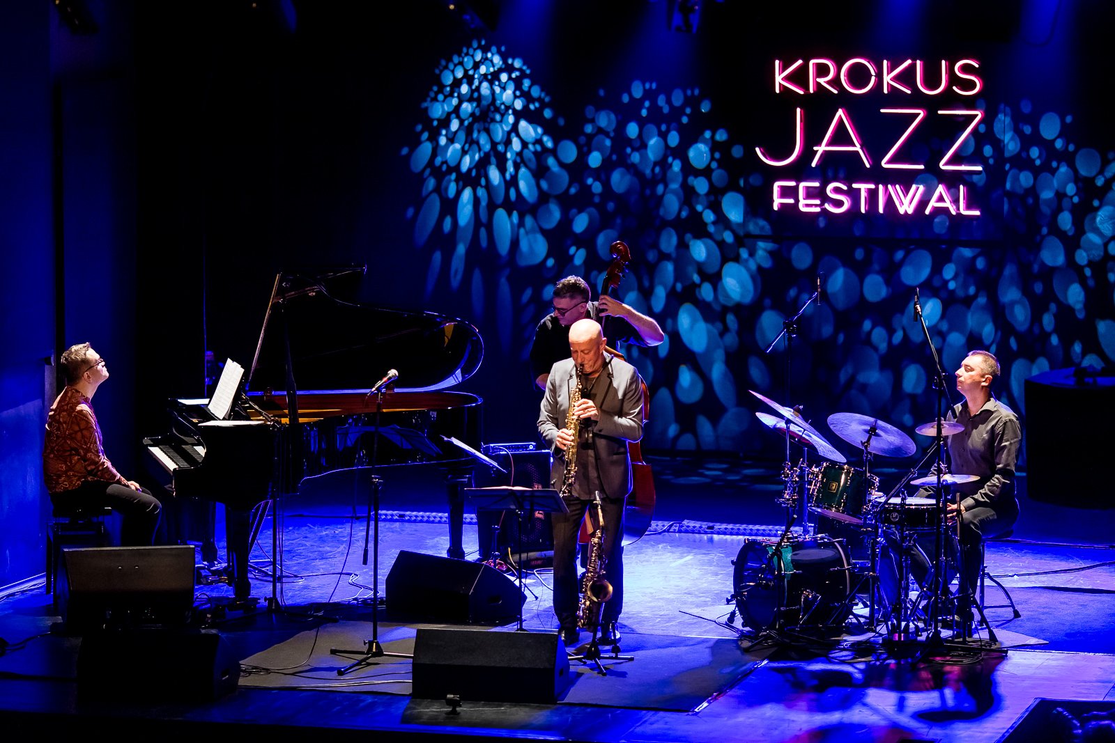 krokus-jazz-dzien-1-119737
