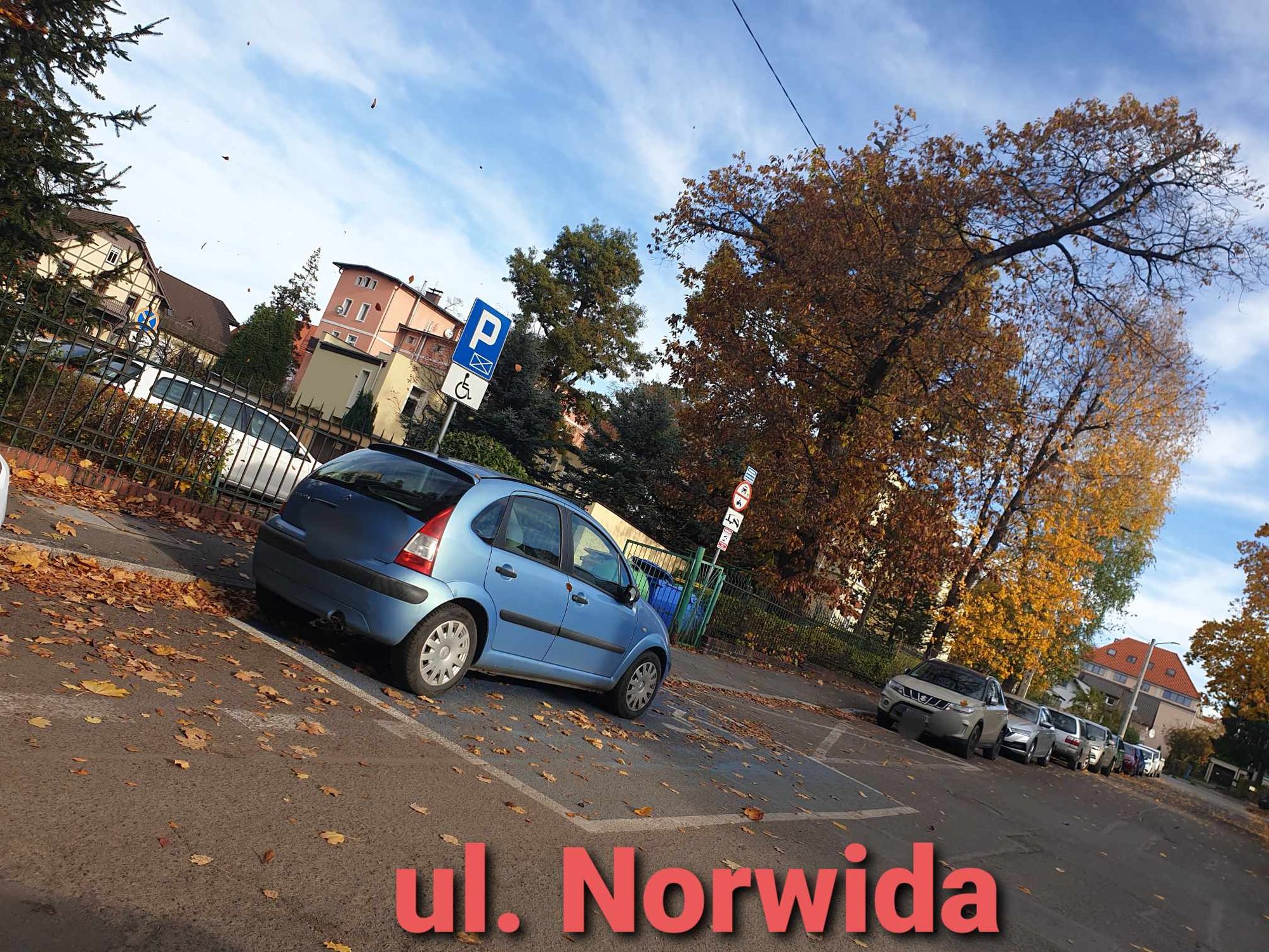 skandal-z-kopertami-dla-niepenosprawnych-pod-urzedem-miasta-jelenia-gora-119898