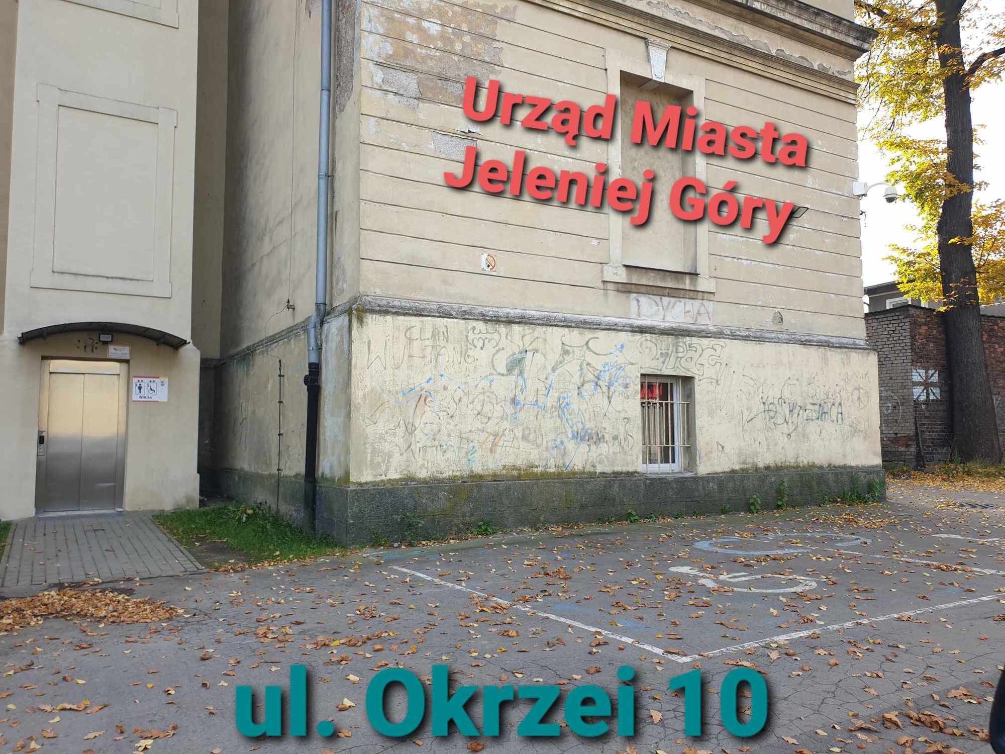 skandal-z-kopertami-dla-niepenosprawnych-pod-urzedem-miasta-jelenia-gora-119898