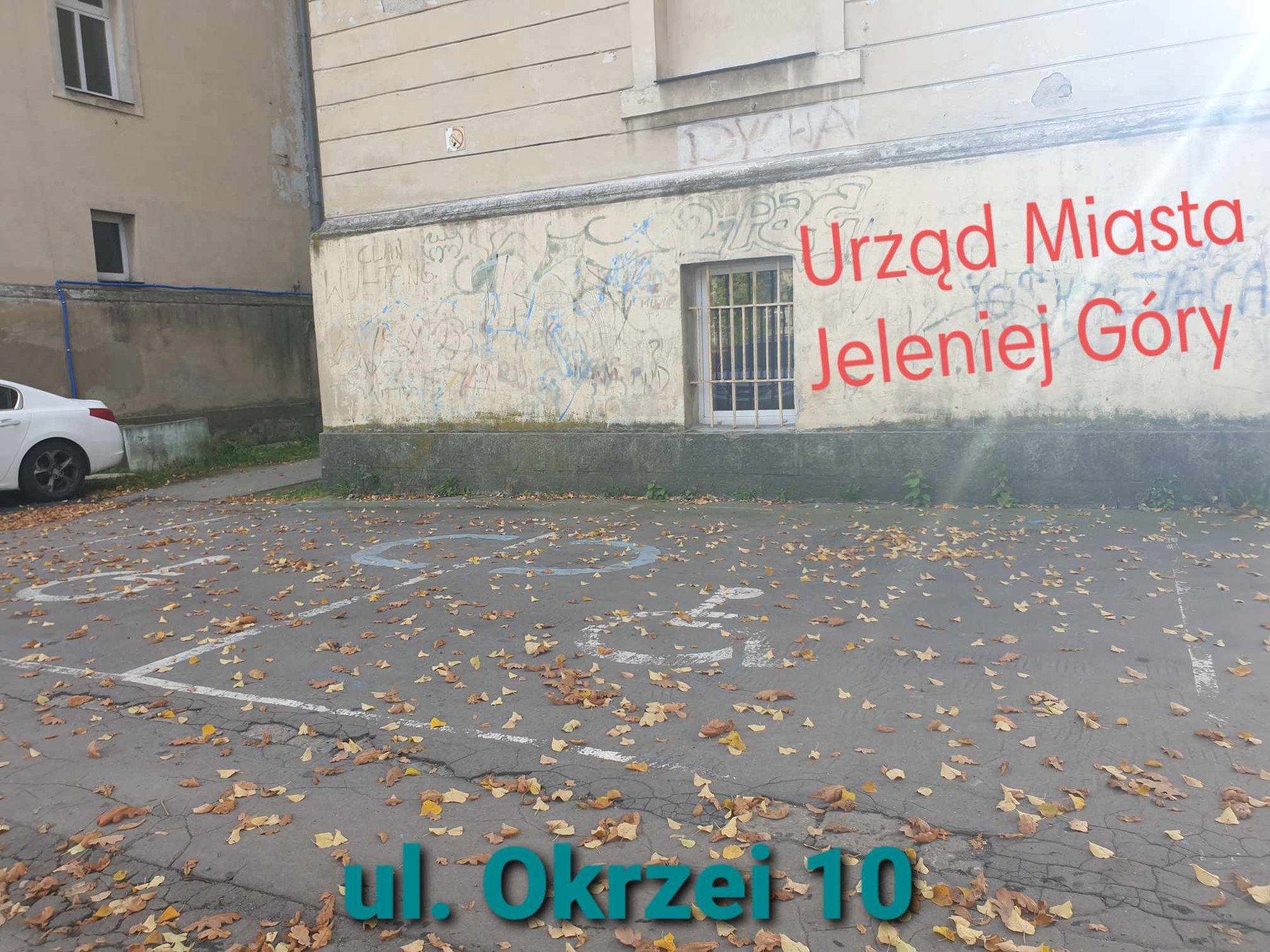 skandal-z-kopertami-dla-niepenosprawnych-pod-urzedem-miasta-jelenia-gora-119898