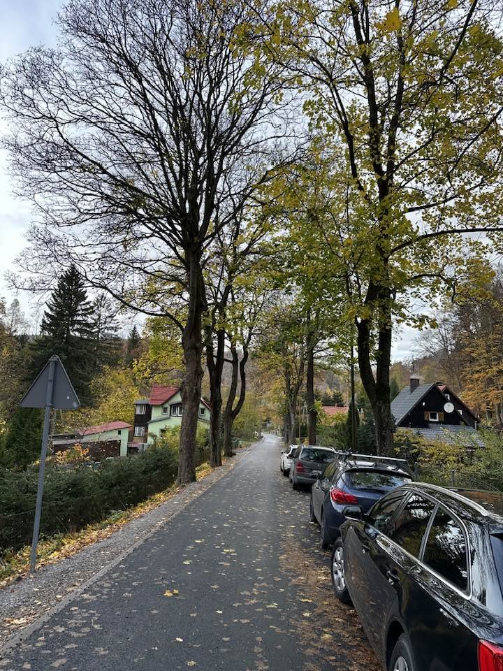 agnieszkowska-prawie-gotowa-120020