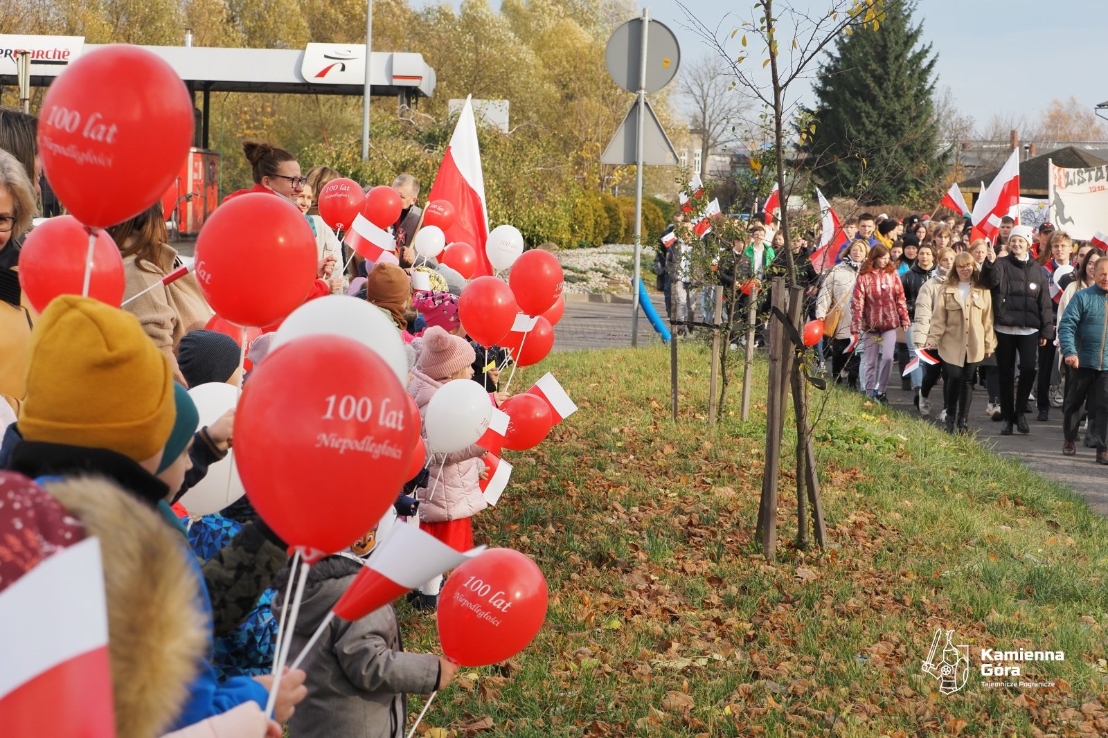 dopisaa-frekwencja-120086