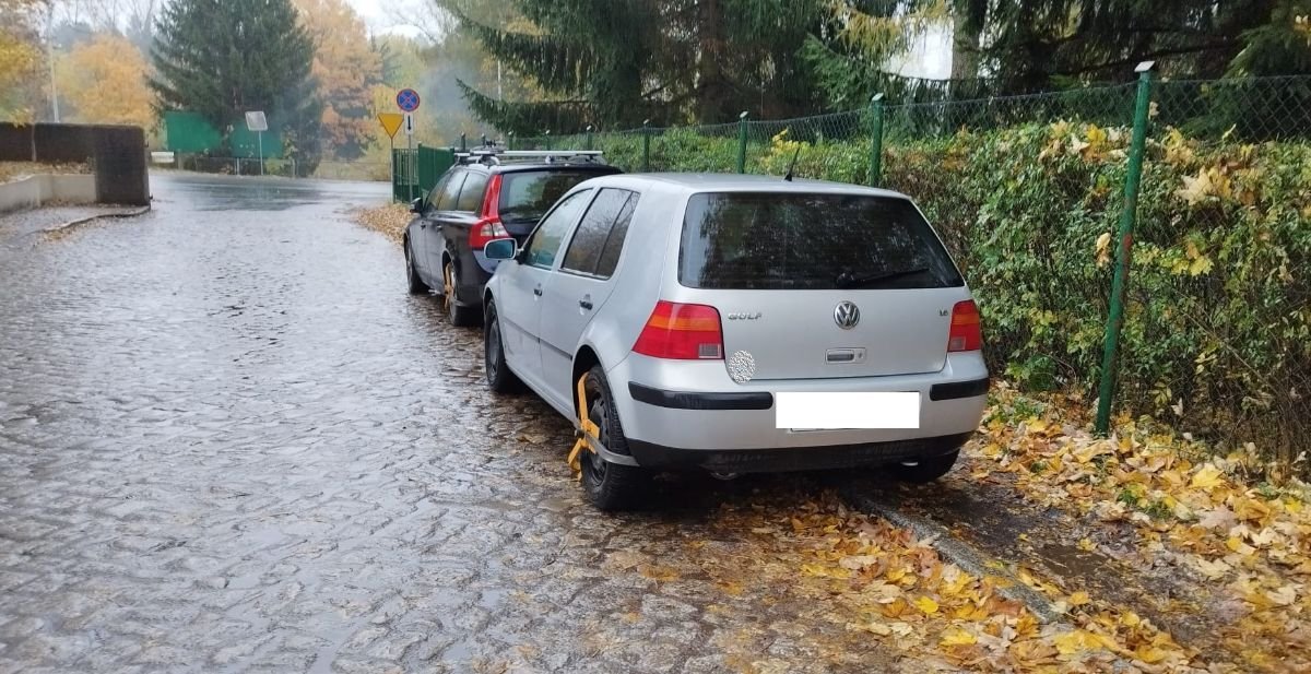 kolejni-mistrzowie-parkowania-120150
