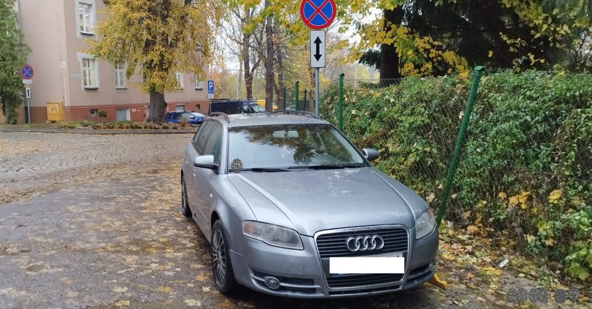 kolejni-mistrzowie-parkowania-120150