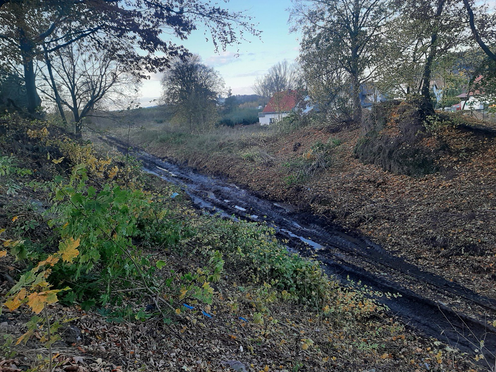 na-torach-coraz-czysciej-120157
