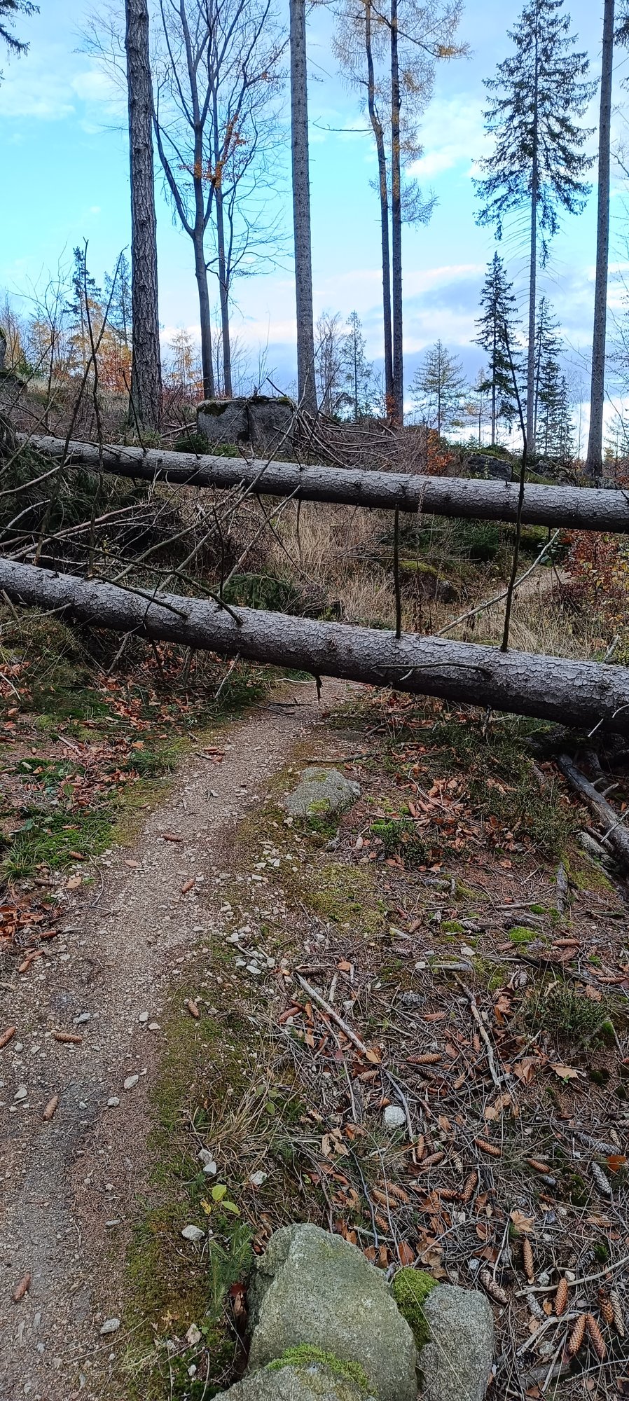przesieka-dewastuja-trasy-120217