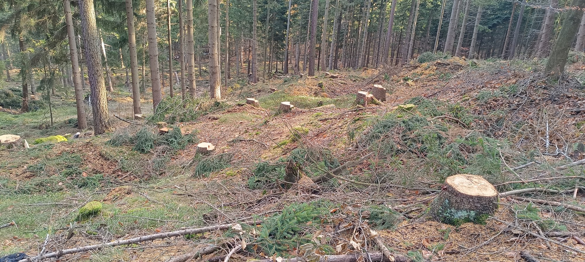 przesieka-dewastuja-trasy-120217