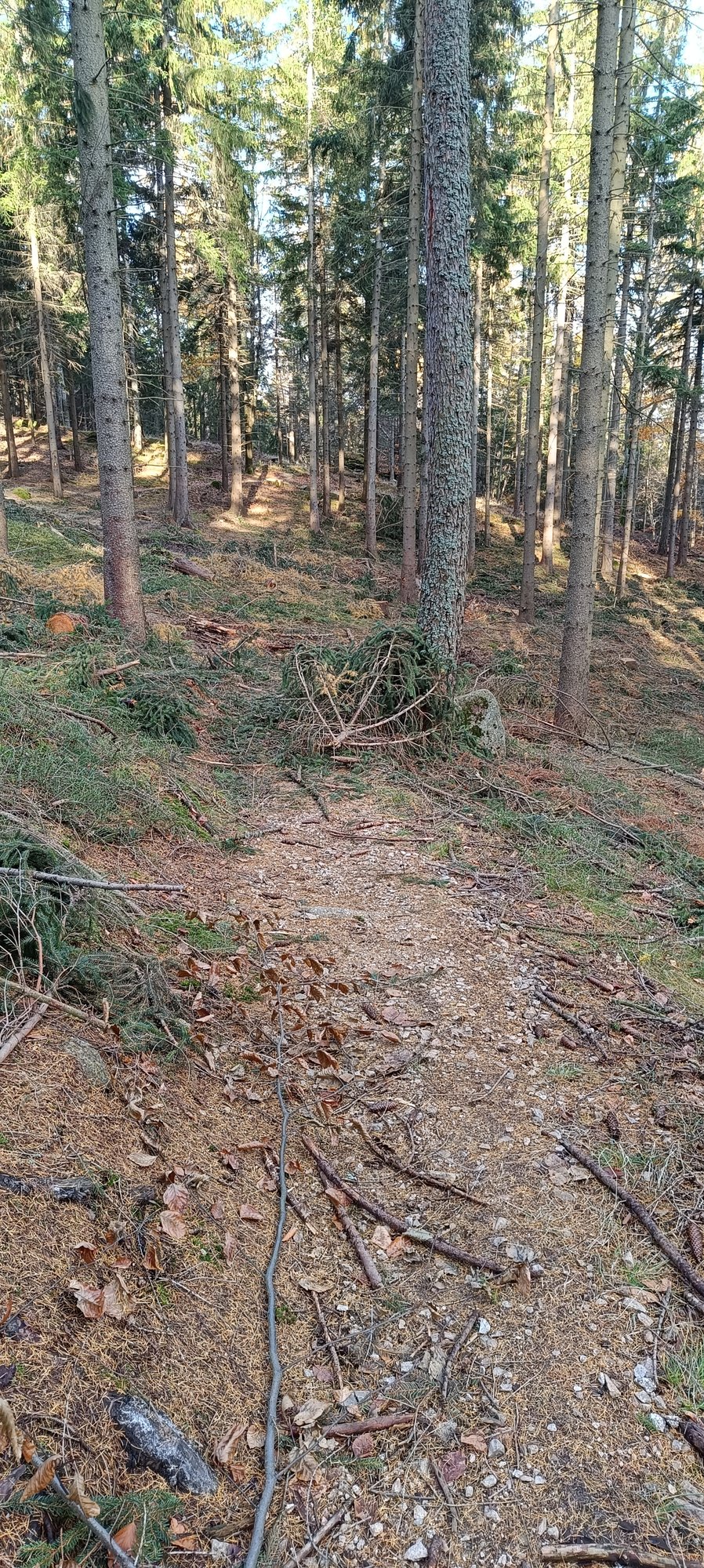 przesieka-dewastuja-trasy-120217
