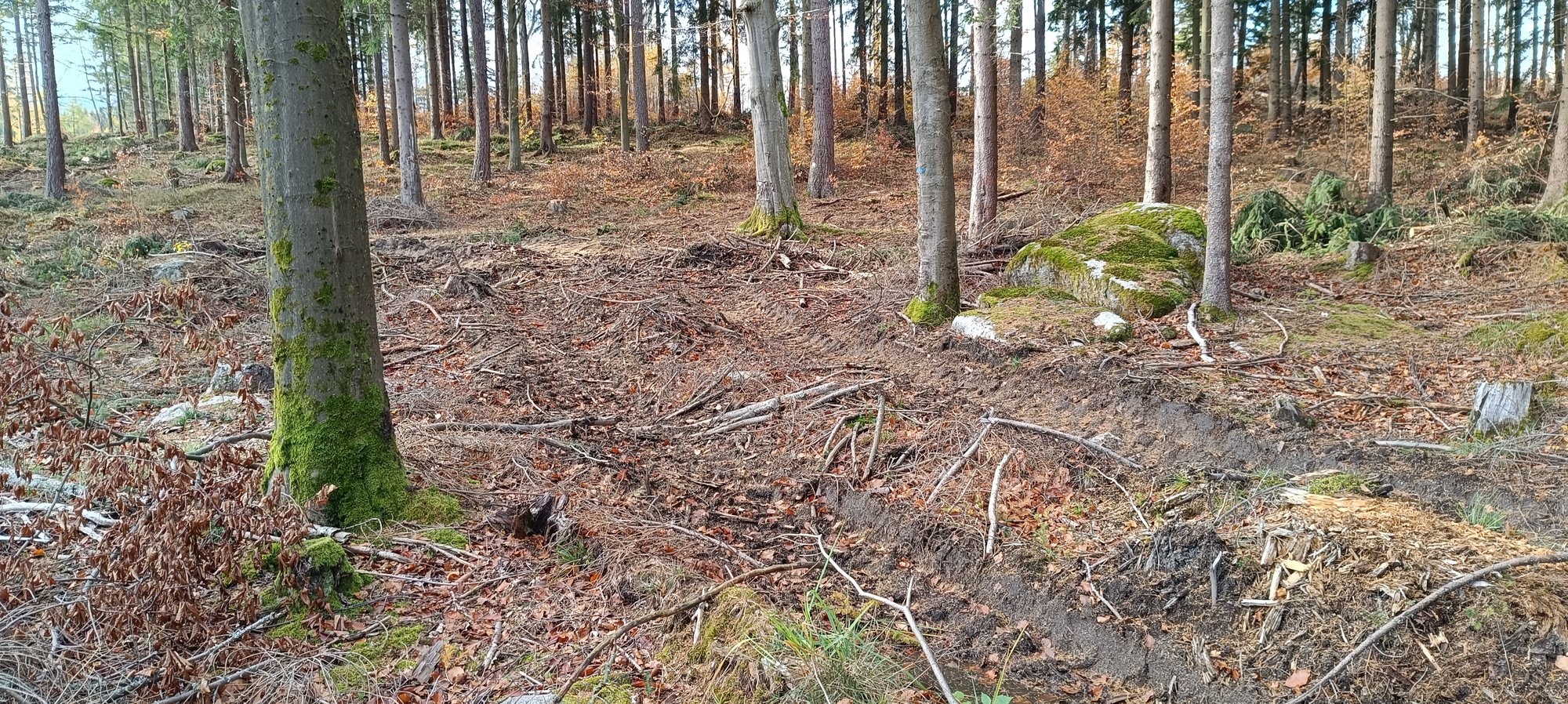 przesieka-dewastuja-trasy-120217
