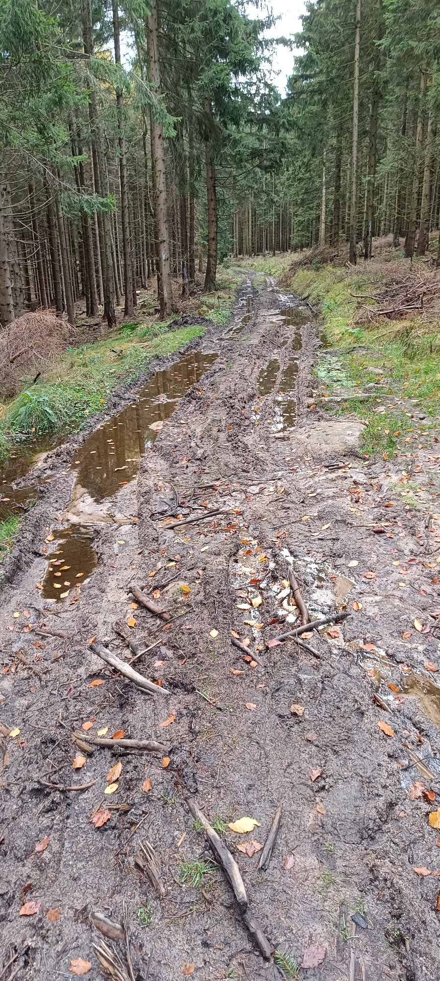 przesieka-dewastuja-trasy-120217