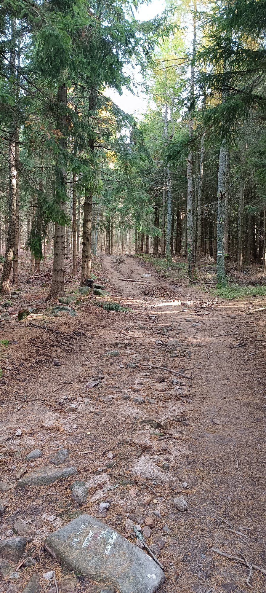 przesieka-dewastuja-trasy-120217