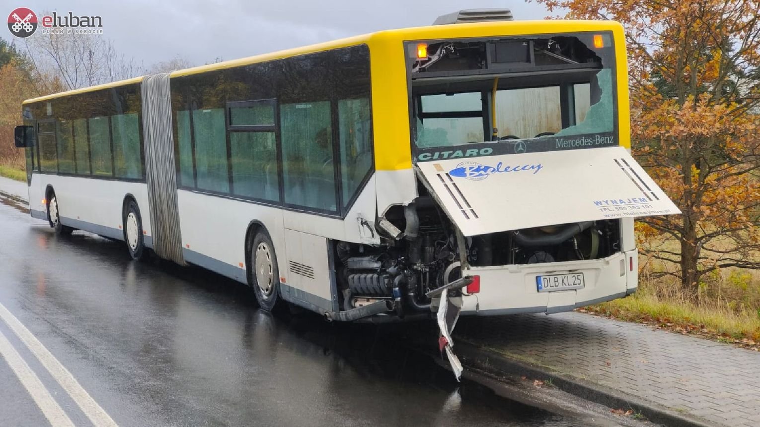zderzenie-pociagu-z-autobusem-120371