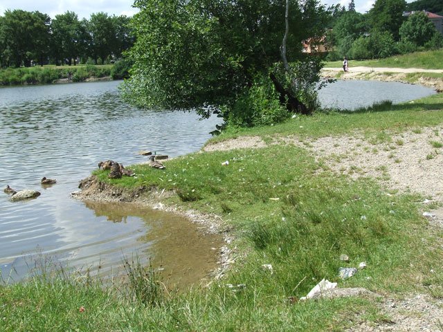 uroczysko-wysypisko-12044