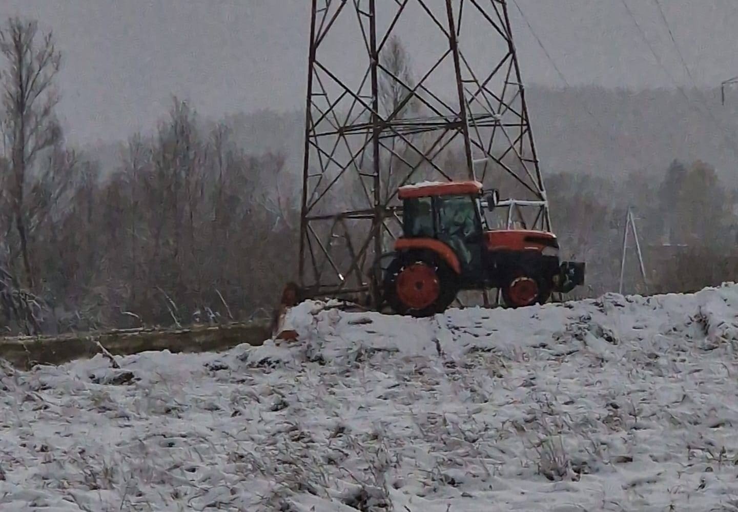zagadka-kosi-czy-odsnieza-120456