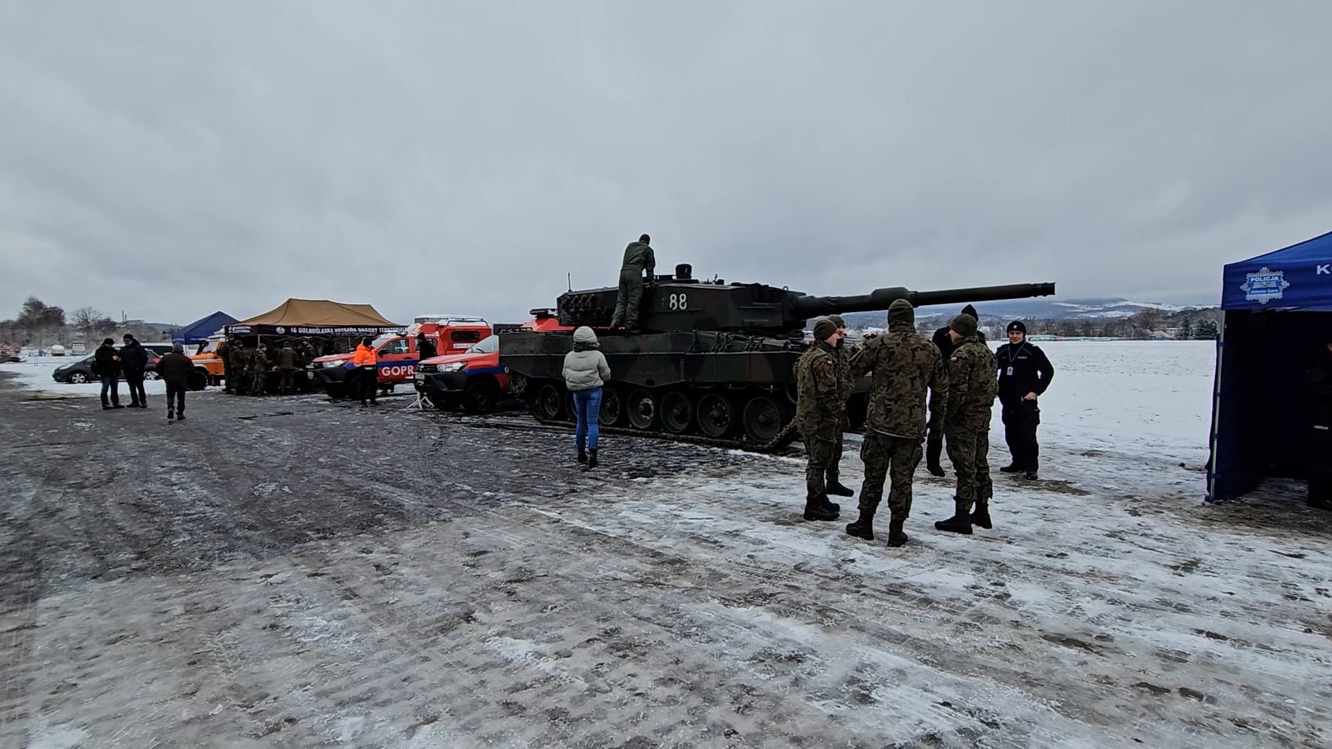 czog-na-lotnisku-120460
