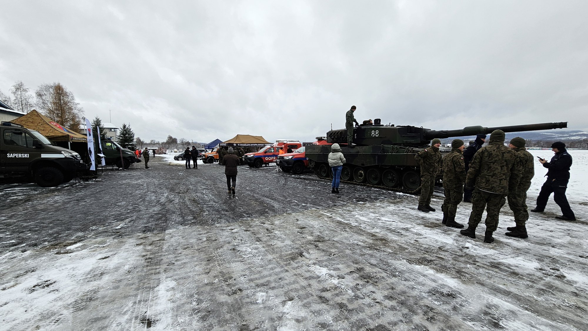 czog-na-lotnisku-120460