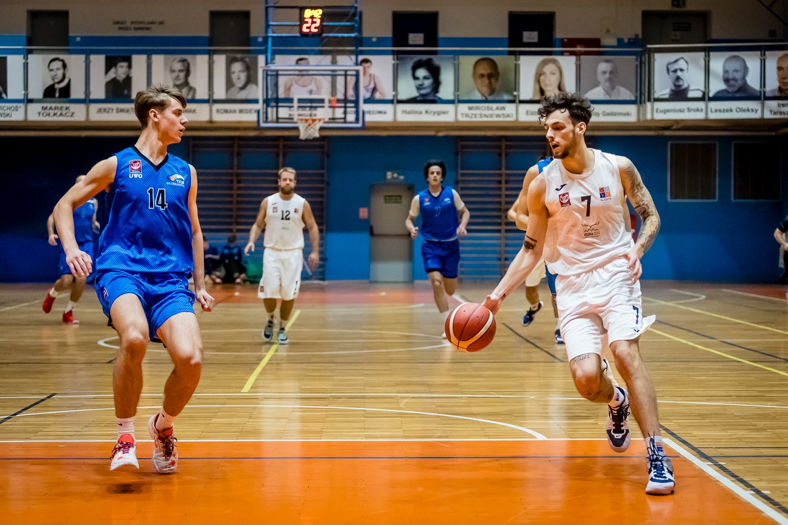 setka-sudetow-120473