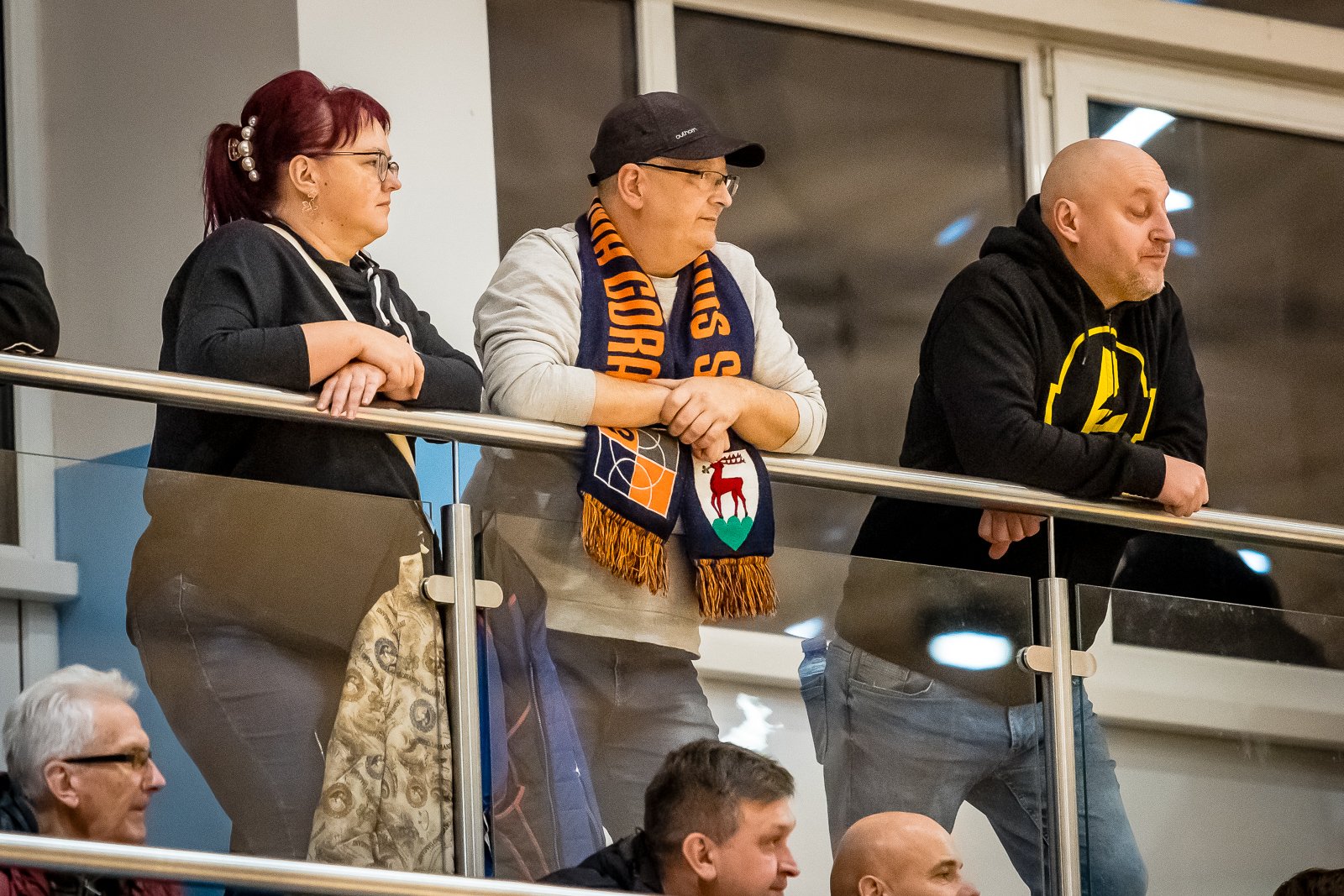 setka-sudetow-120473