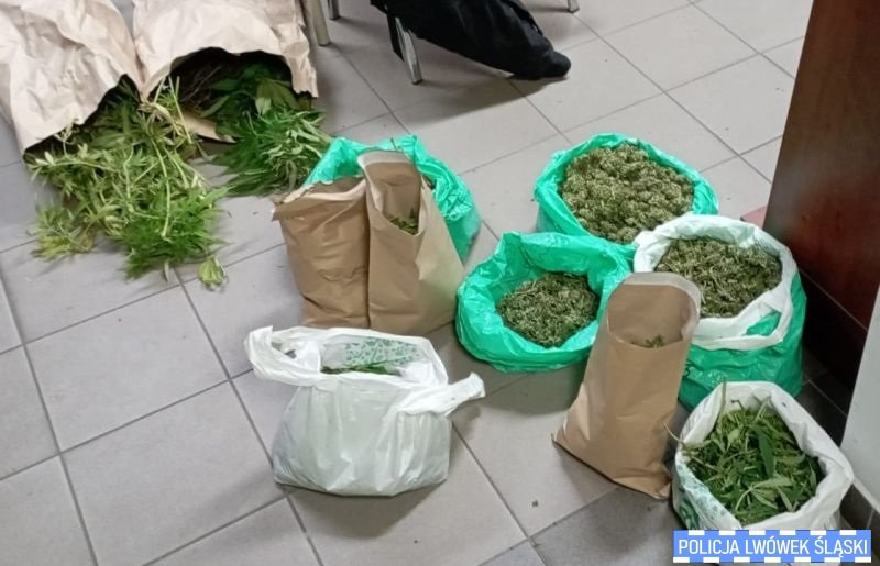 popalali-a-policjanci-ich-zapali-120803