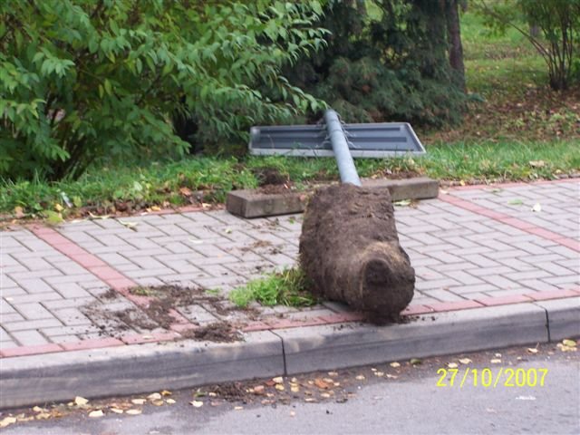 wandale-przeszli-jak-tornado-12092